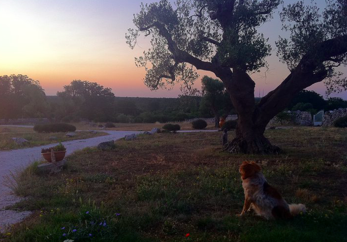 Puglia yoga retreat