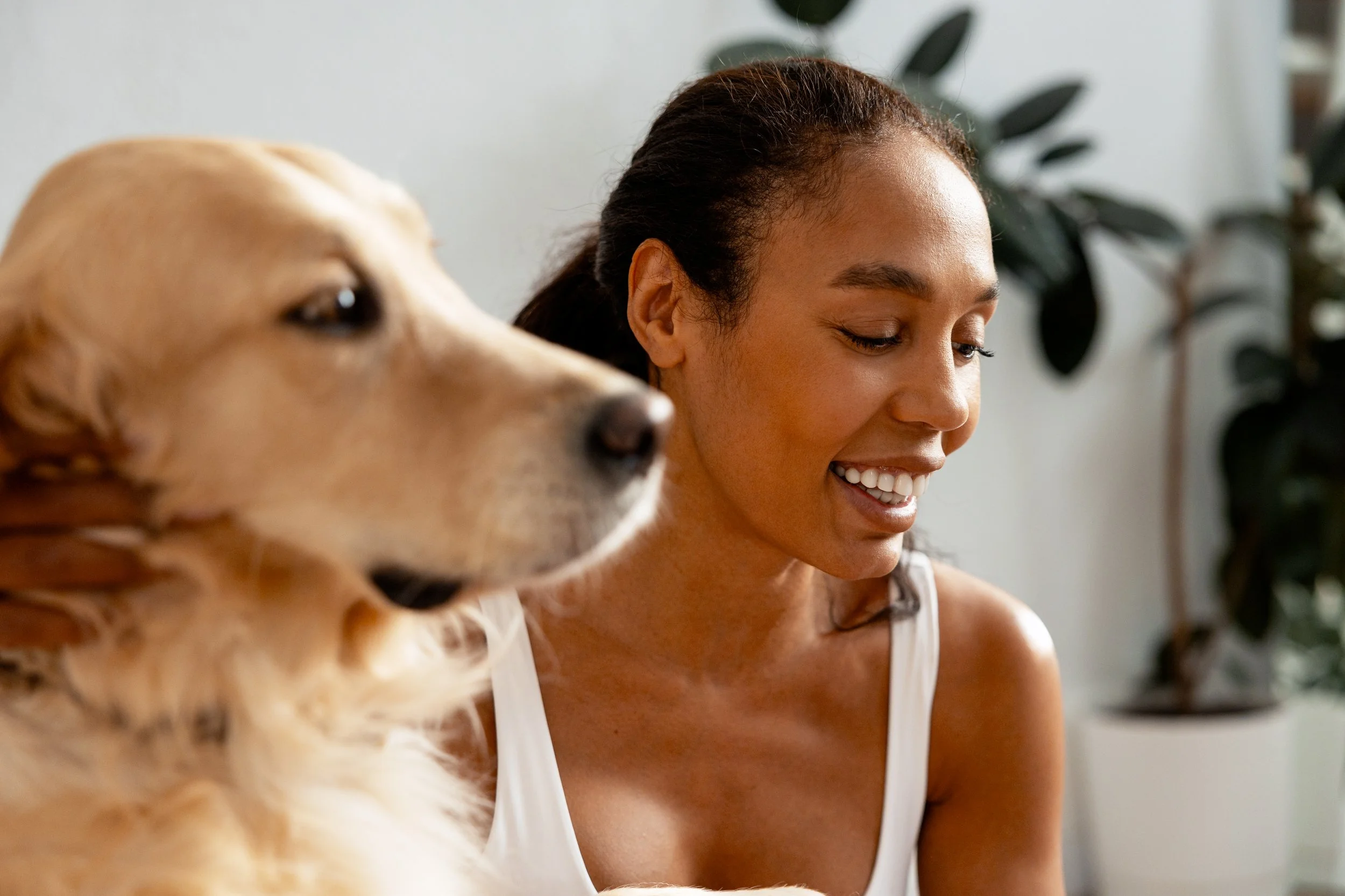 Self-Care, Boundaries, and Puppy Power in ABA