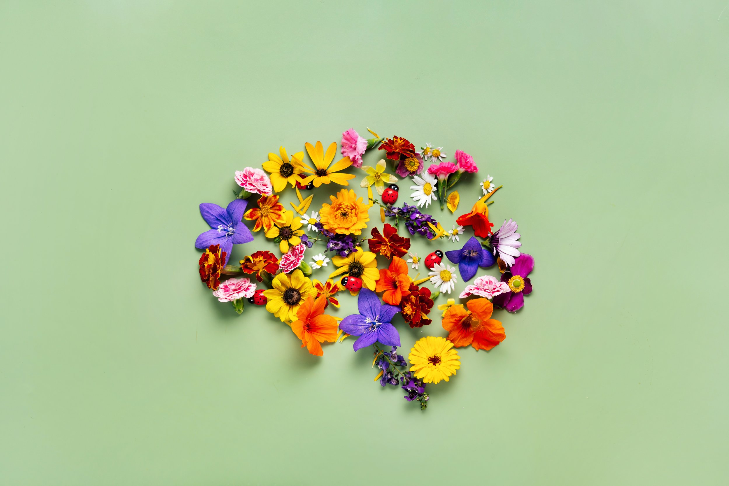 Neurodiversity-Affirming Care: Why ABA Needed This Conversation