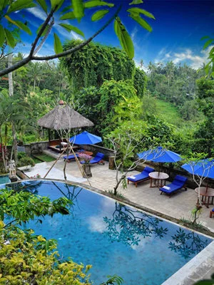 bali+sd1.jpg