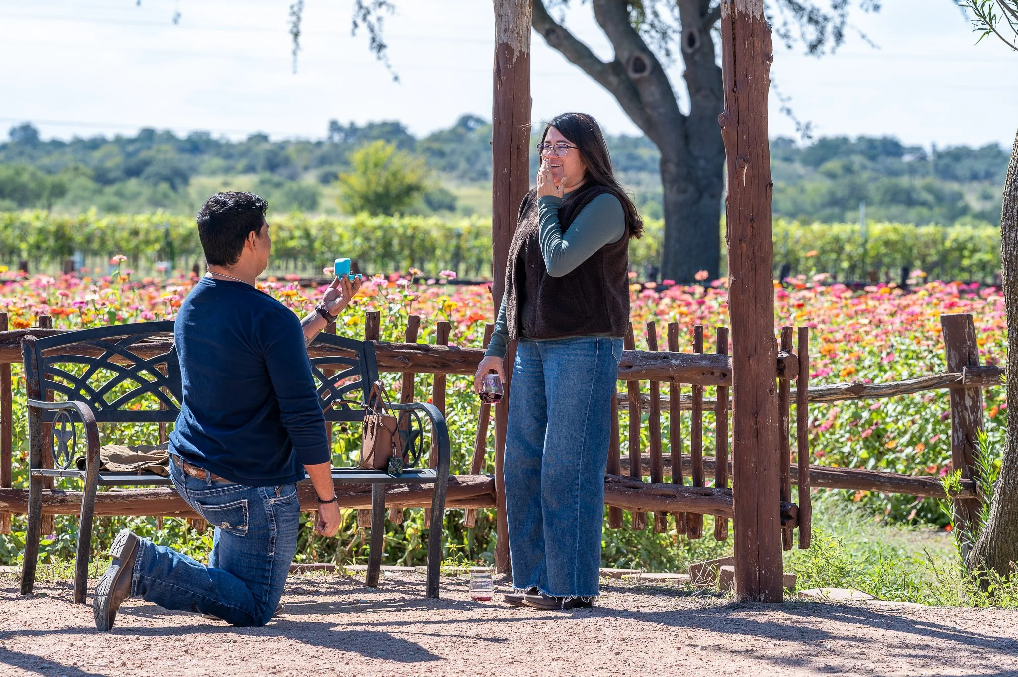 Proposal at Wildseed Farms in Fredericksburg: A Hill Country Day Trip