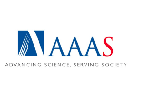 Foster Children: AAAS Review
