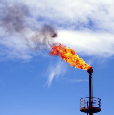 Social cost of methane
