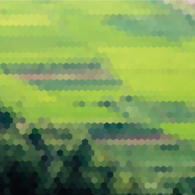 Global Gridded Crop Model Intercomparison (GGCMI) Project