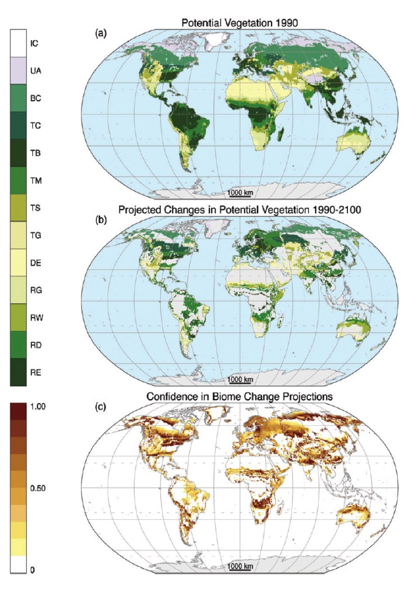 vegetation projections (a) Mci-modeled potential vegetation under observed 1961-1990 cliamte. (b) mci-modeled potential vegetation under projected 2071-2100 climate where any of nine general circulation model-emissions scenario combinations projects a change. biomes, in (a) and (B), from poles to equator: ice (ic), tundra and alpine (UA), boreal conifer forest (bc), temperate conifer forest (TC), temperate broadleaf forest (tb), temperate mixed forest (tm), temperate shrubland (ts), temperate grassland (tg), desert (de), tropical grassland (rg), Tropical woodland (rw), tropical deciduous broadleaf forest (rd), and tropical everygreen Broadleaf forest (re). (c) confidence of biome projections calculated from fraction of general circulation model-emissions scenario combinations that project the same time of biome change.