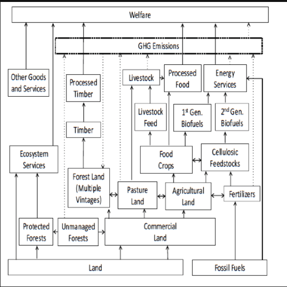 STRUCTURE OF THE ECONOMY IN THE FABLE MODEL