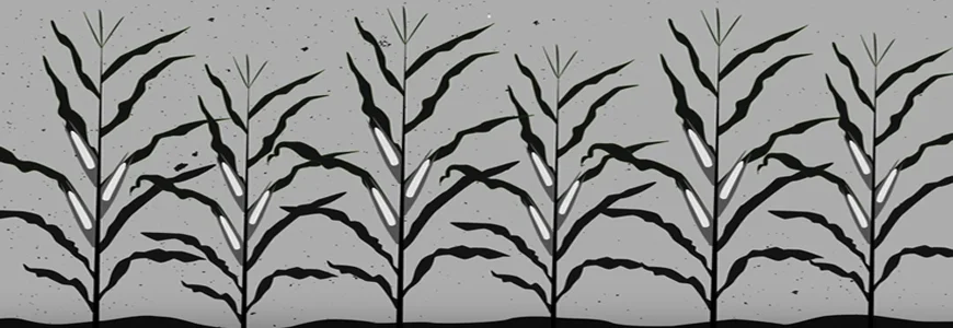 The American Association for the Advancement of Science (AAAS) 2016 Annual Meeting