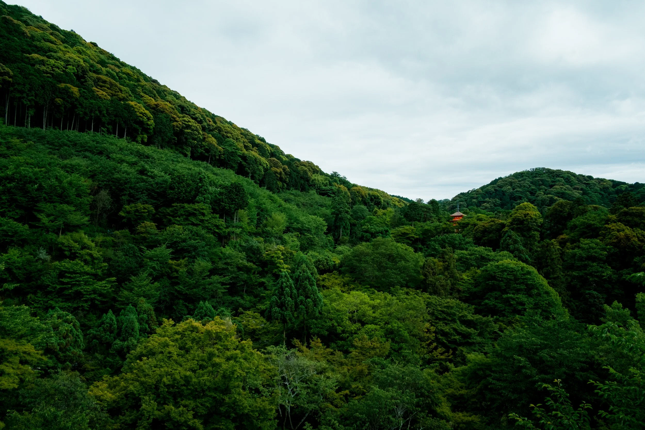 DSCF0692.jpg