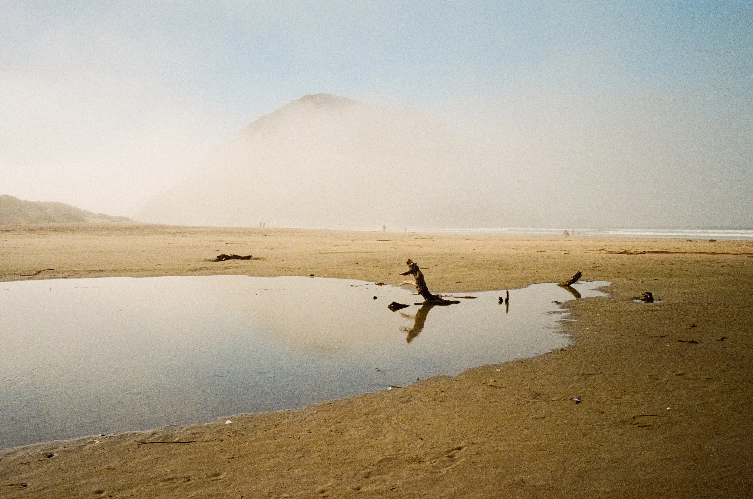 Leica_MP_00172.jpg