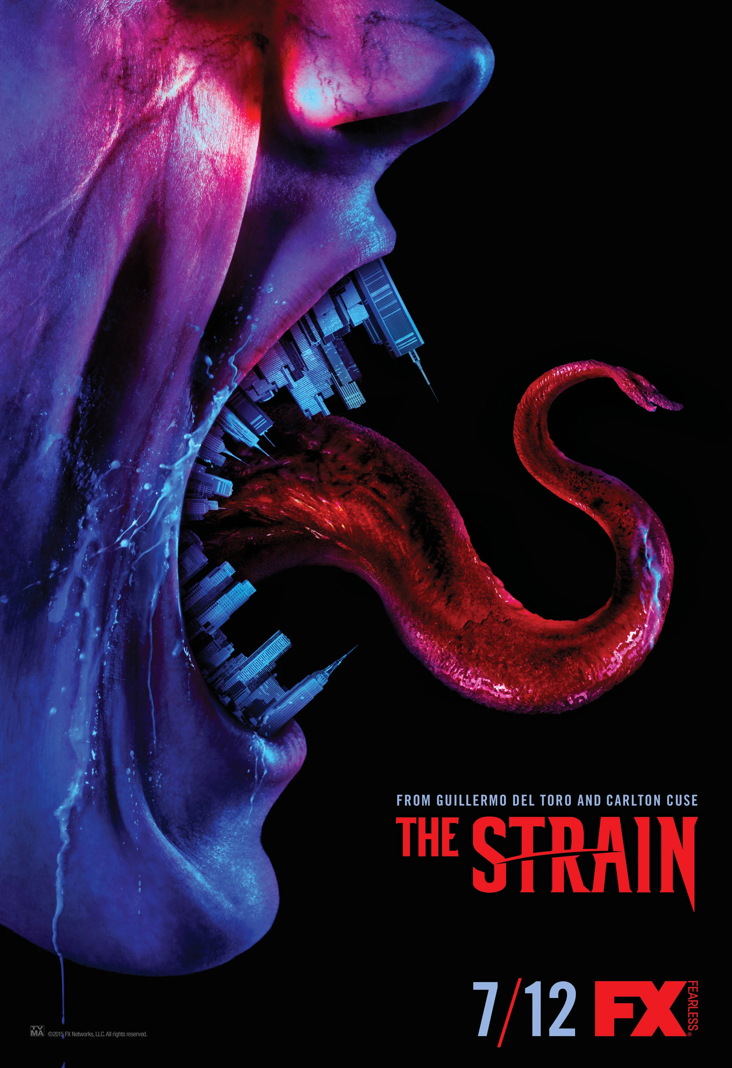 Strain S2 FNL Vertical2[2].jpg