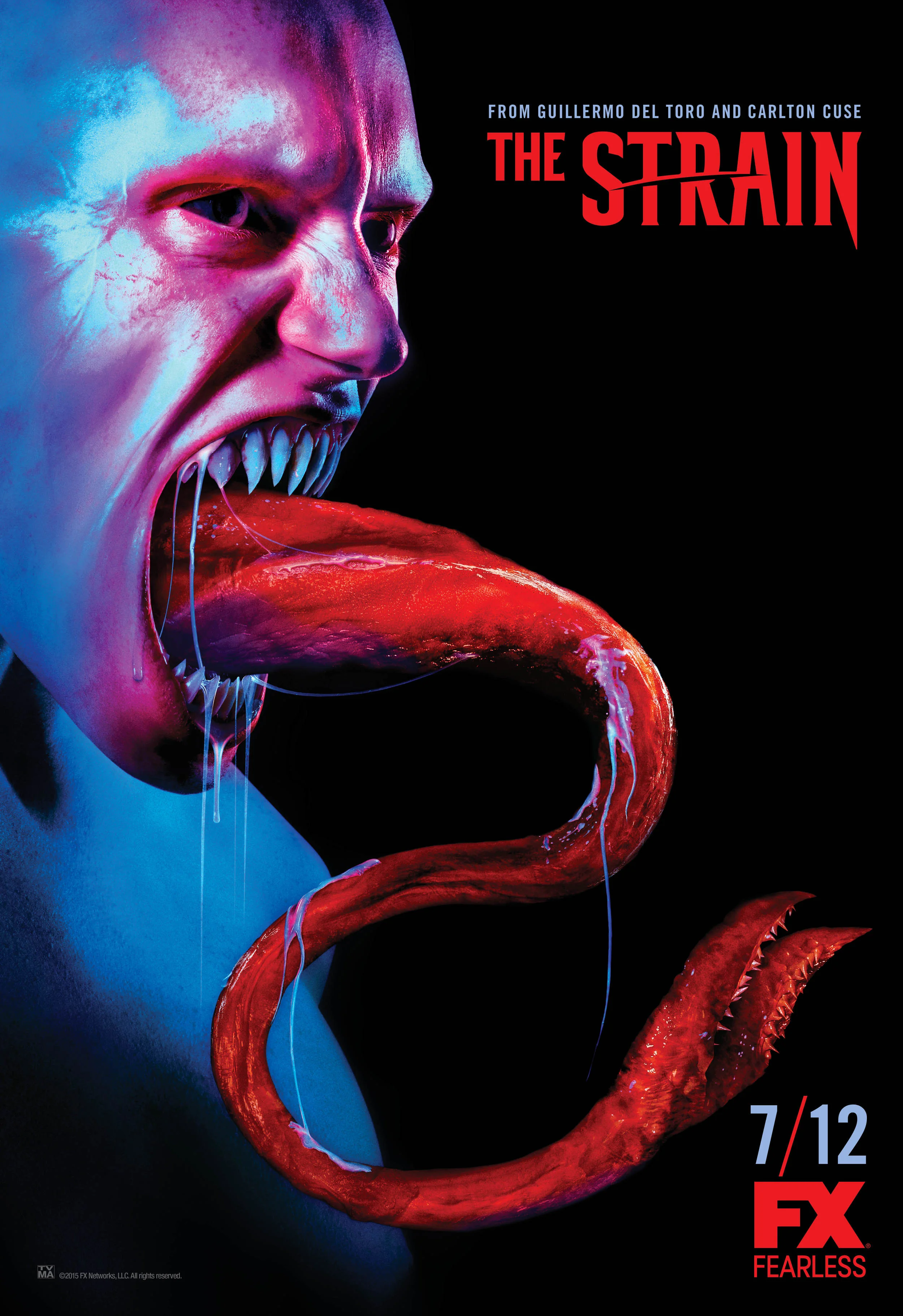 Strain S2 FNL Vertical4[2].jpg