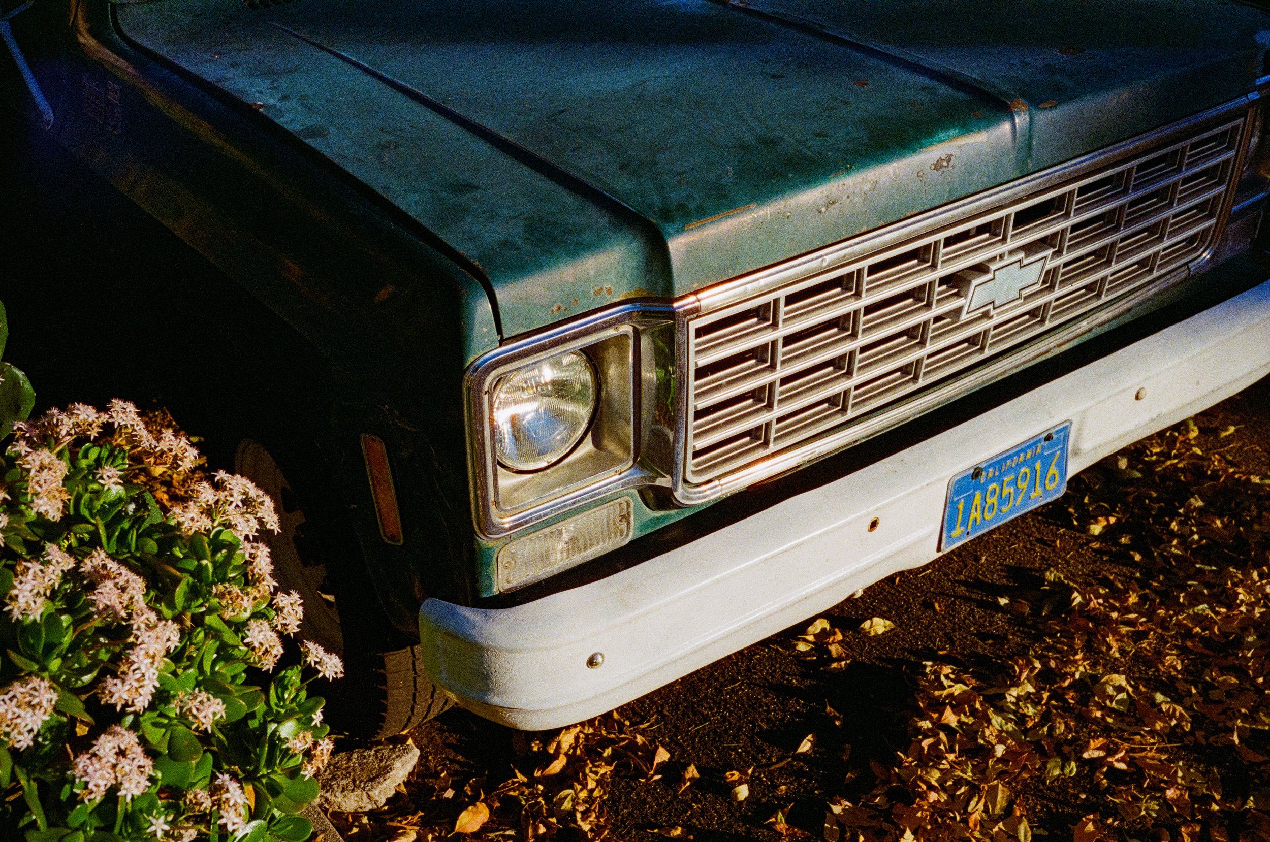 Leica_M4-2_00380.jpg