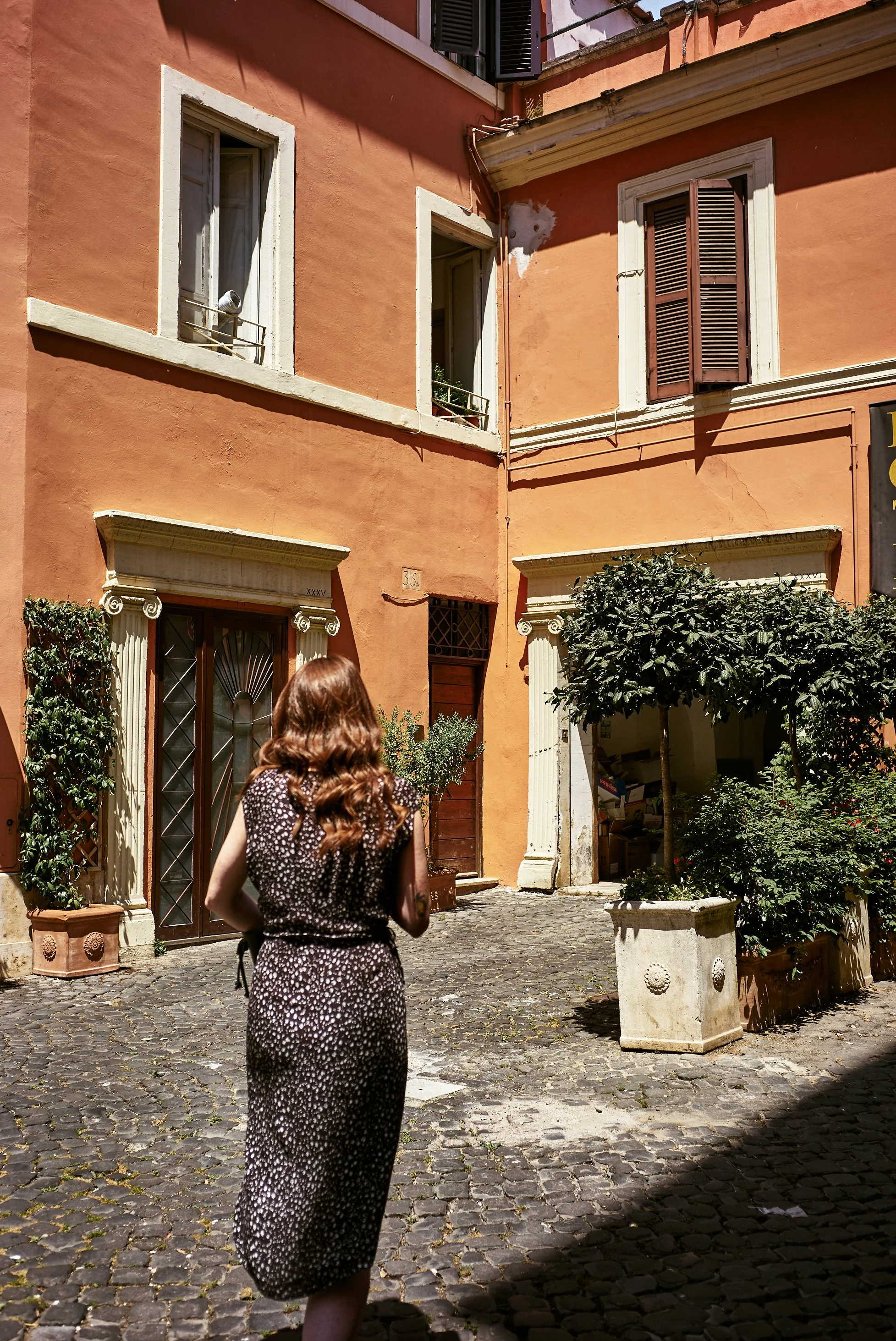 L1003846.jpg