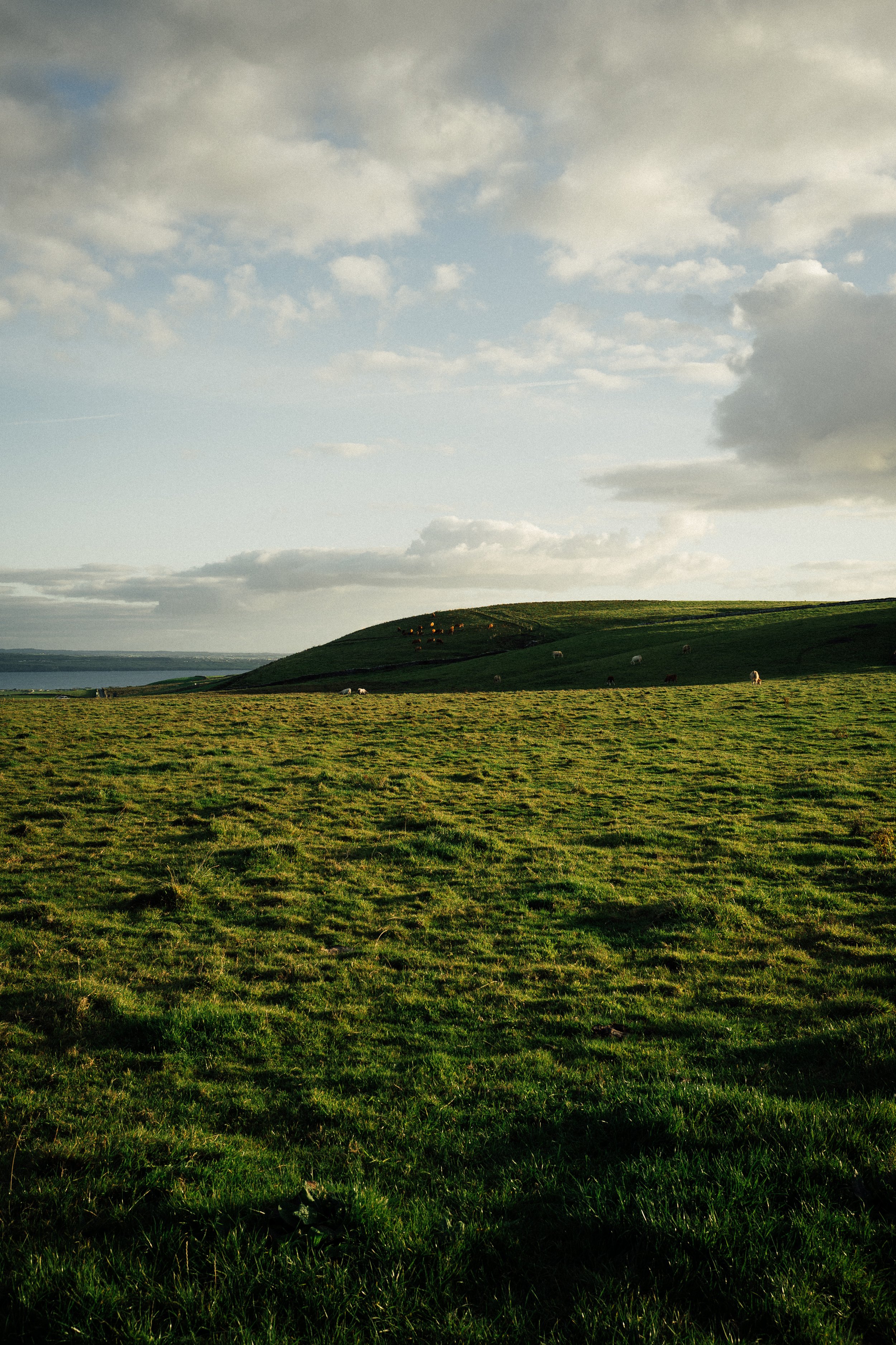 L1190729.jpg
