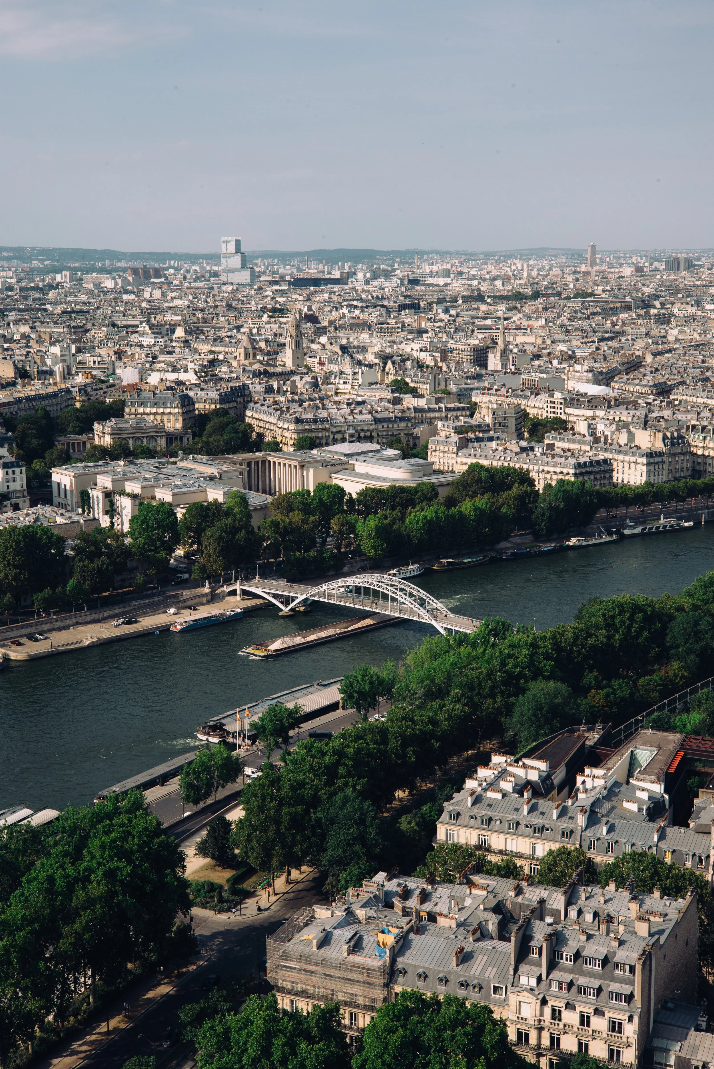L1001794.jpg