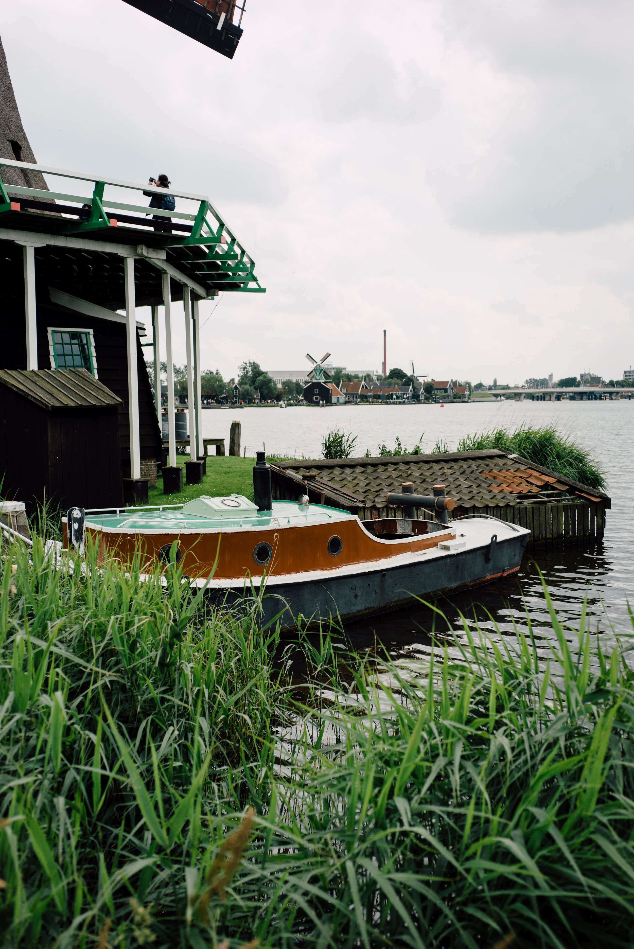 L1003091.jpg
