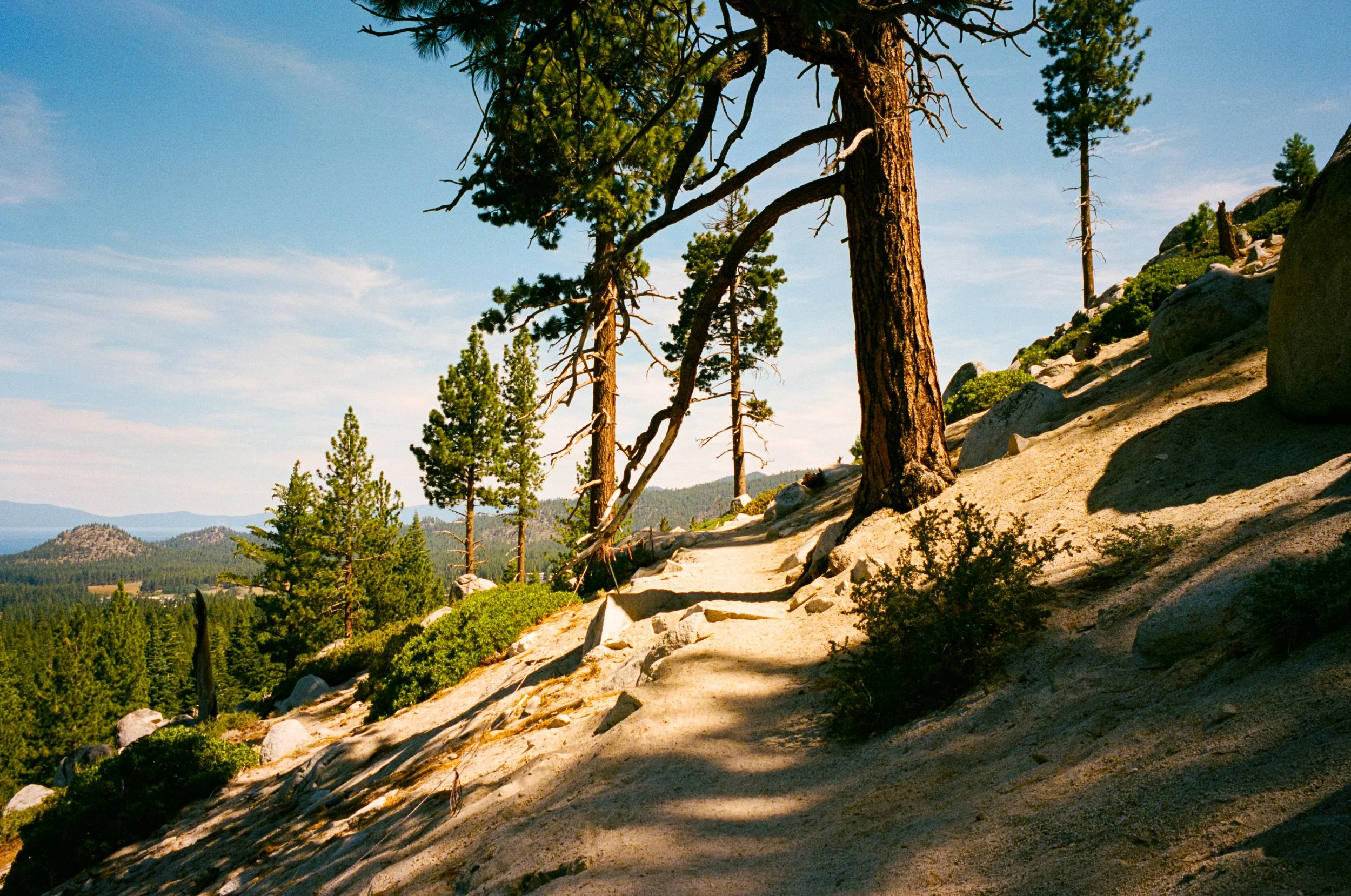 Leica_MP_00641.jpg