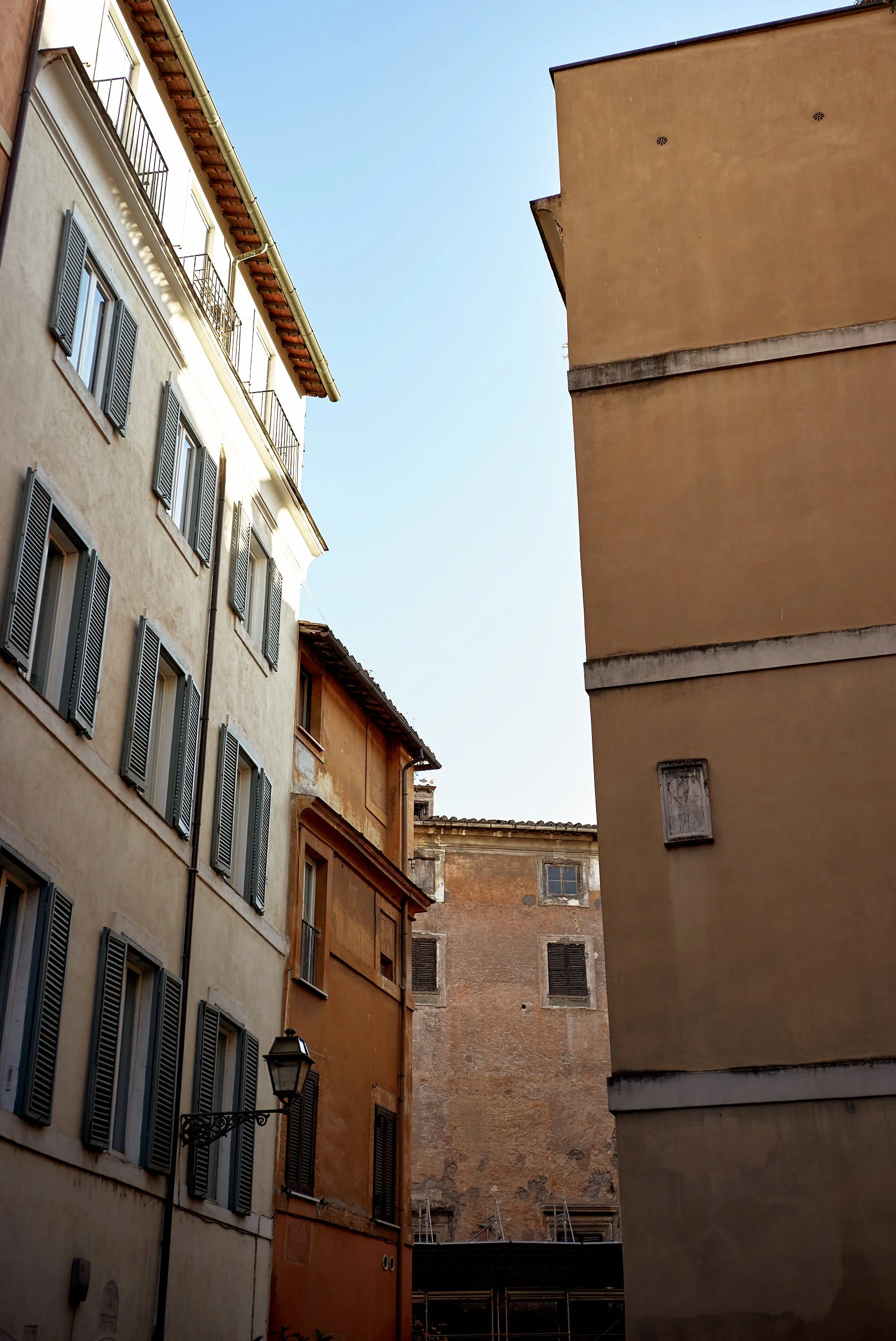 L1003819.jpg