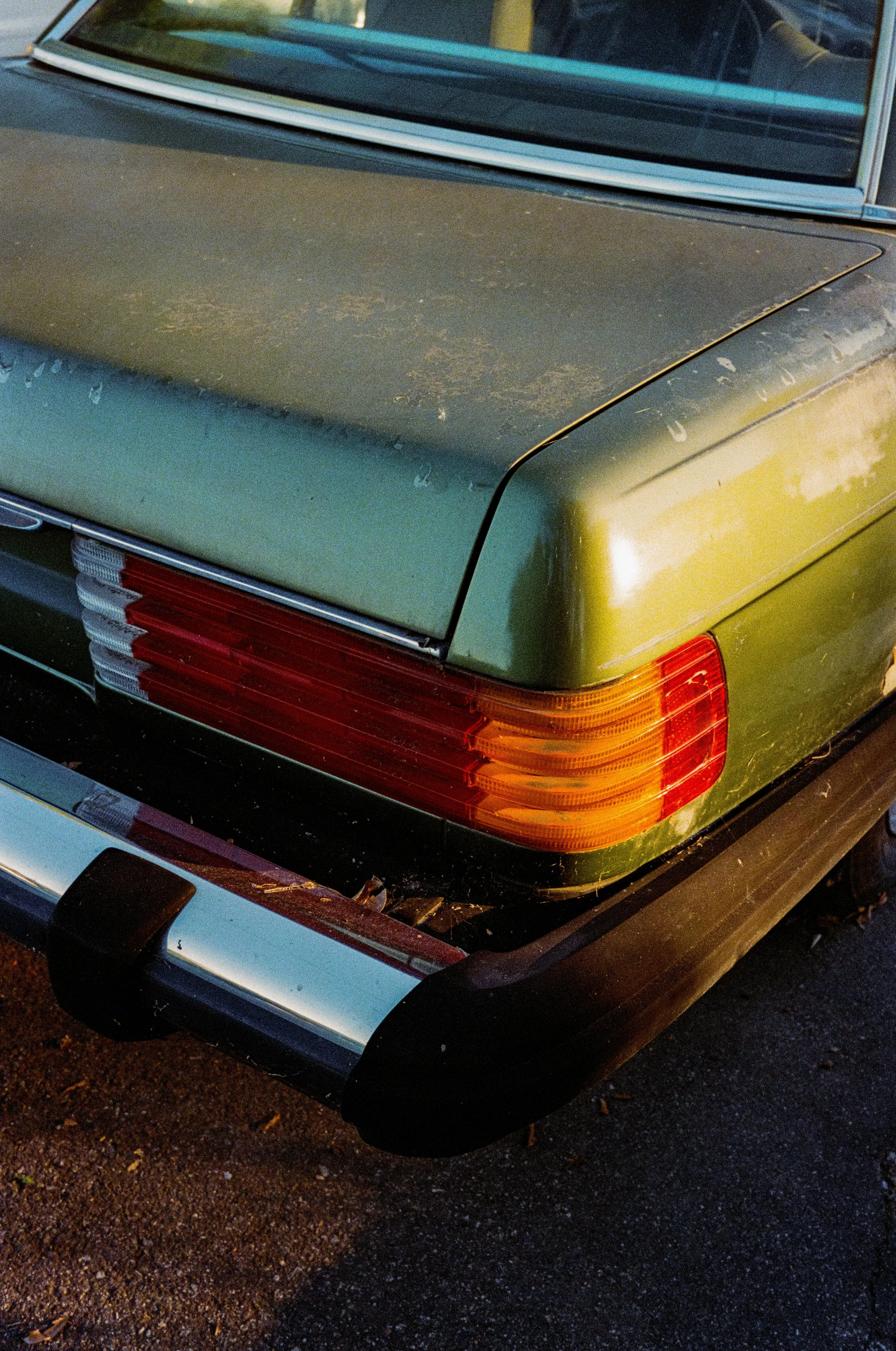 Leica_M4-2_00374.jpg