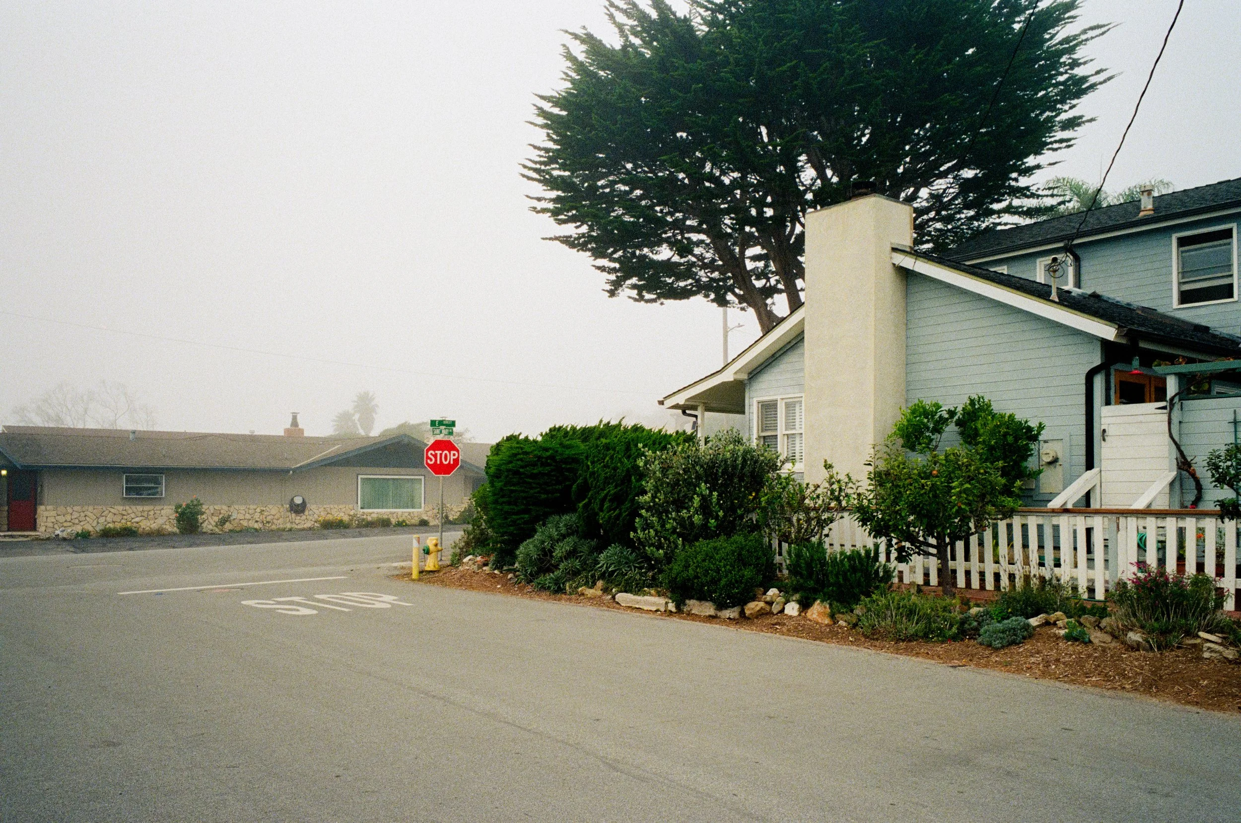 Leica_MP_00154.jpg