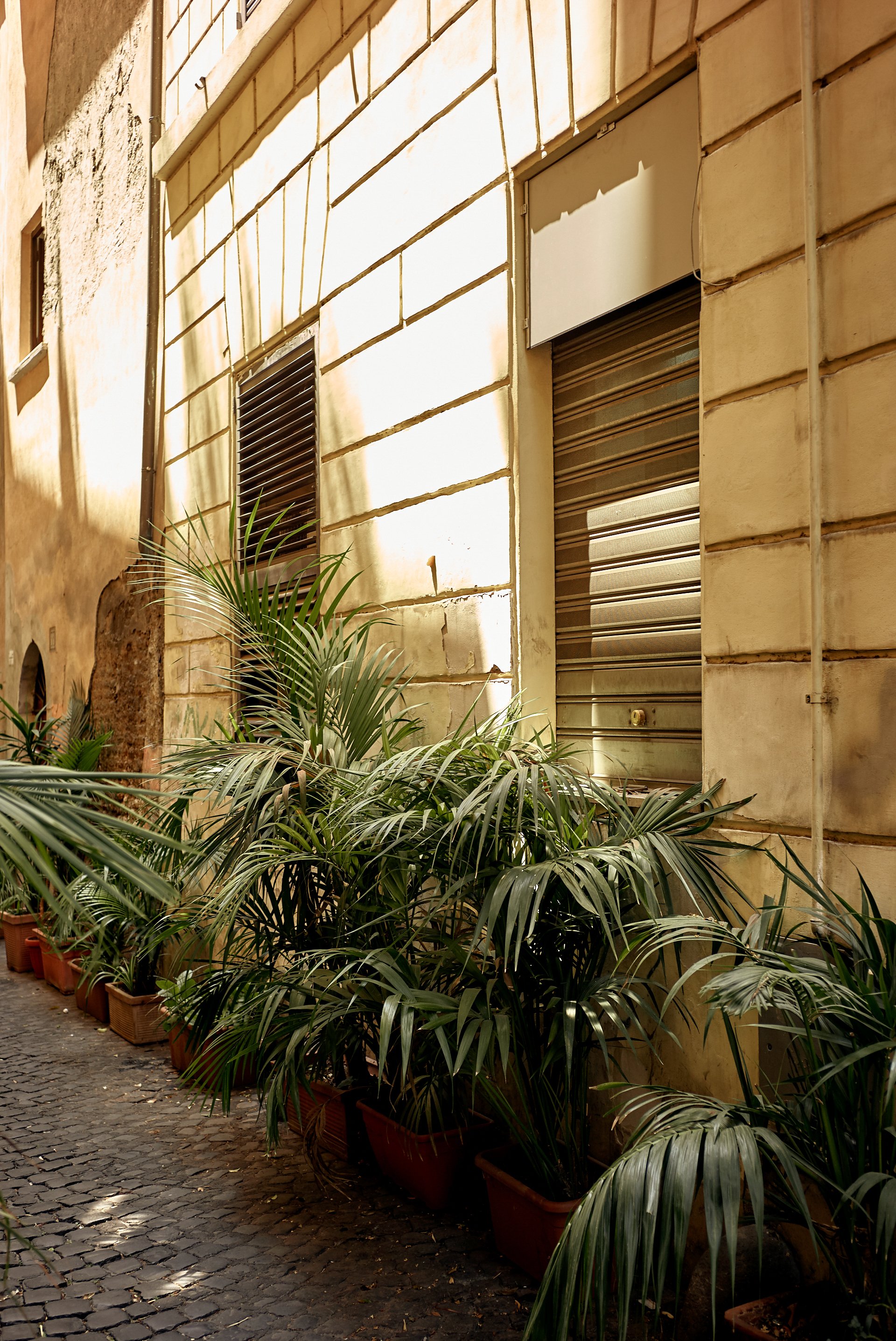 L1003839.jpg