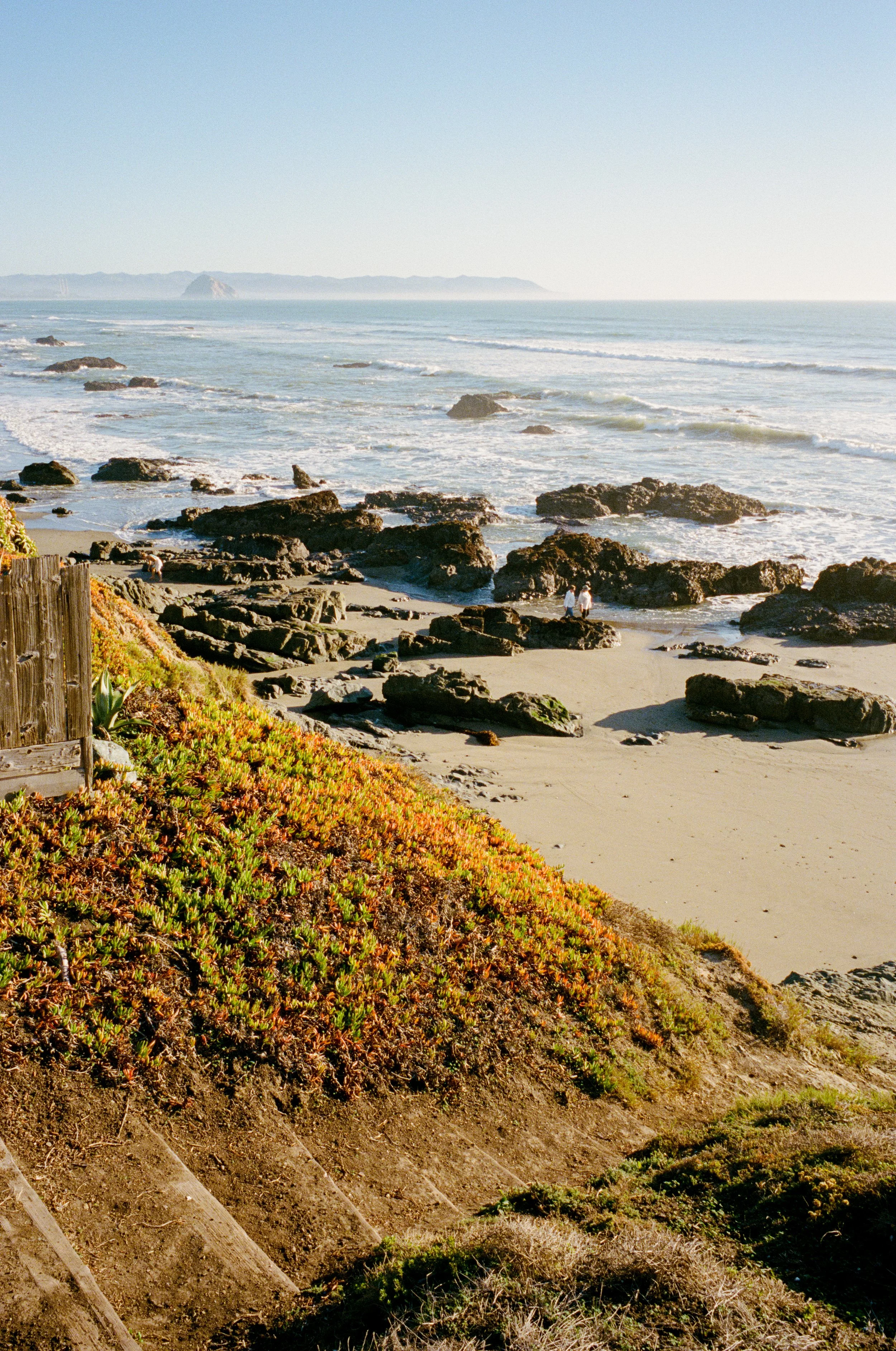 Leica_MP_00129.jpg