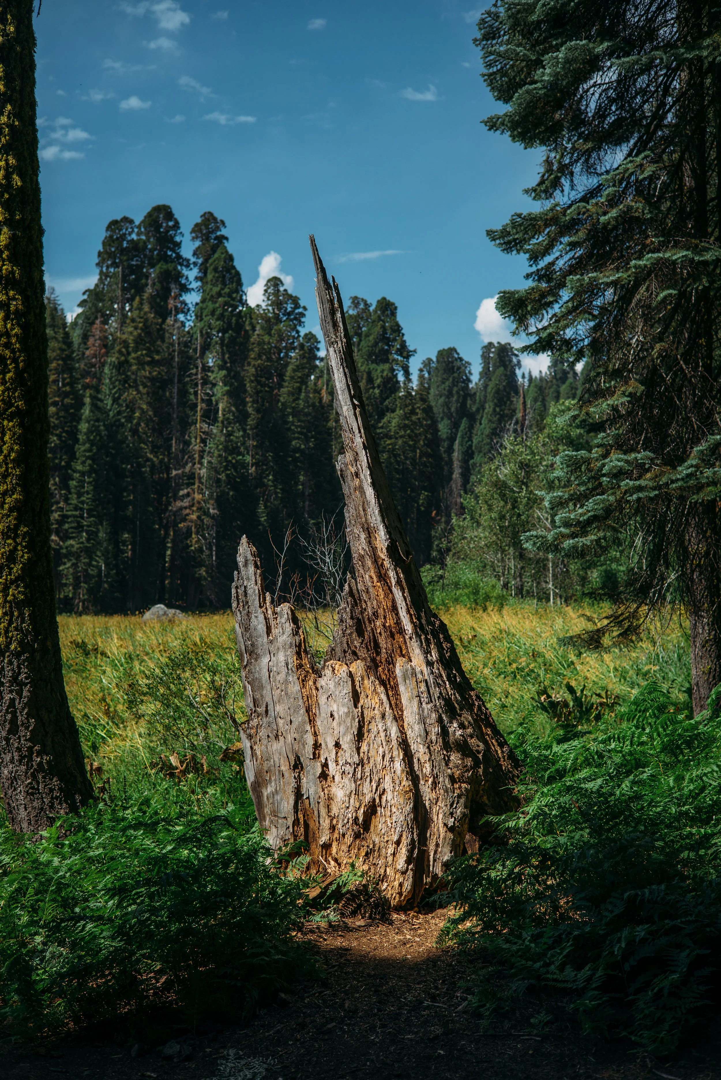 L1000640.jpg