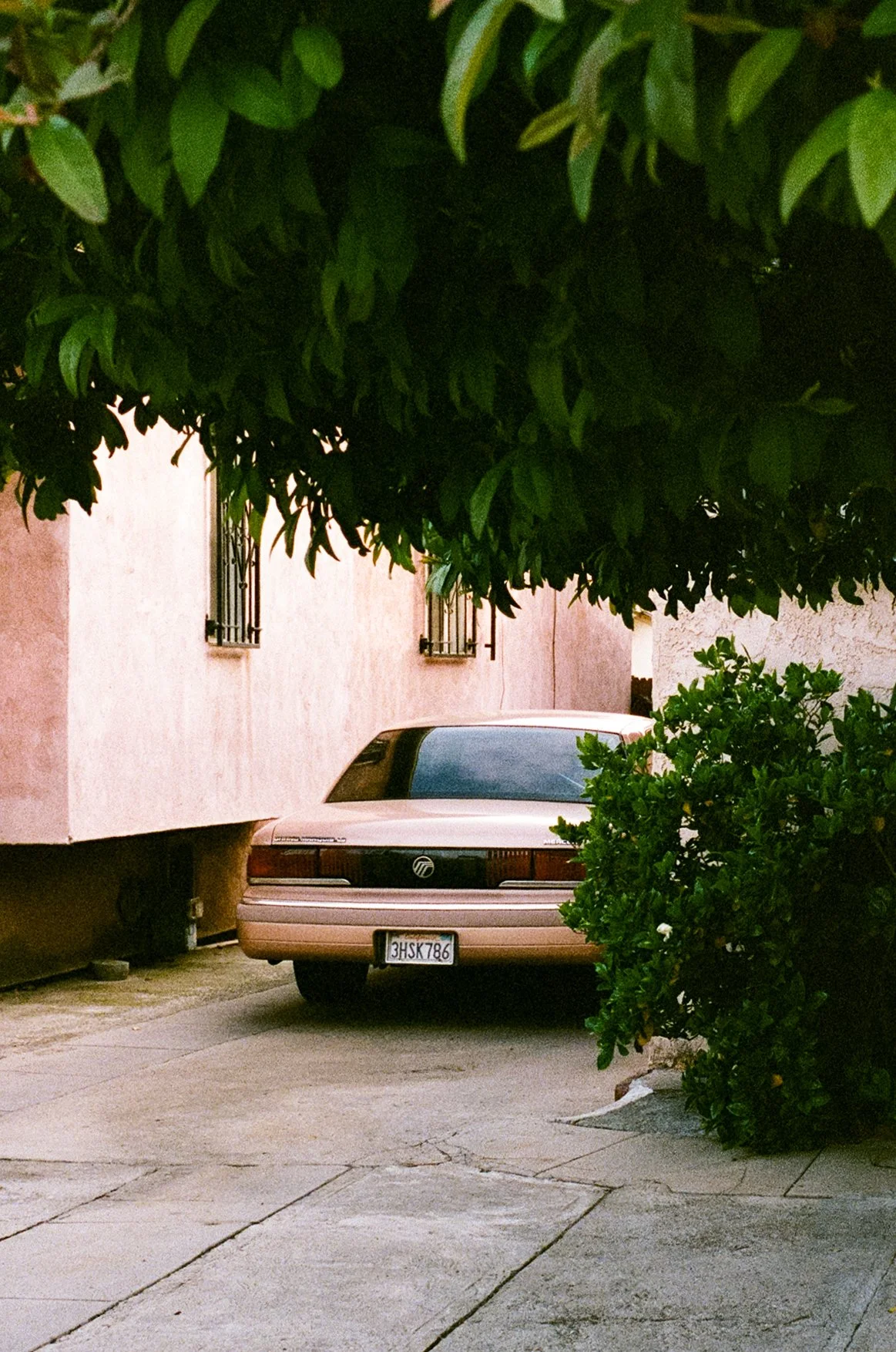 Leica_M4-2_00001.jpg