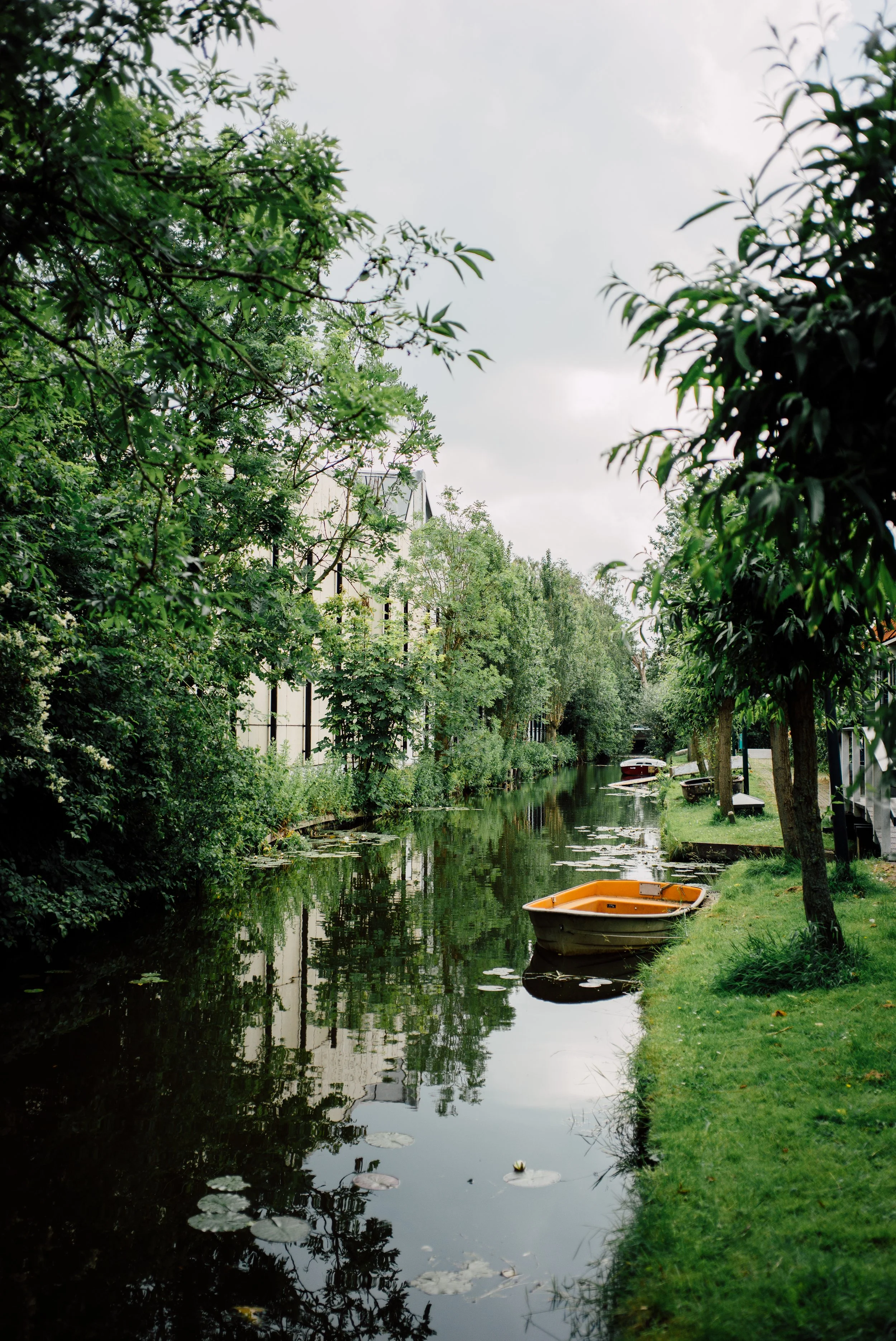 L1003110.jpg