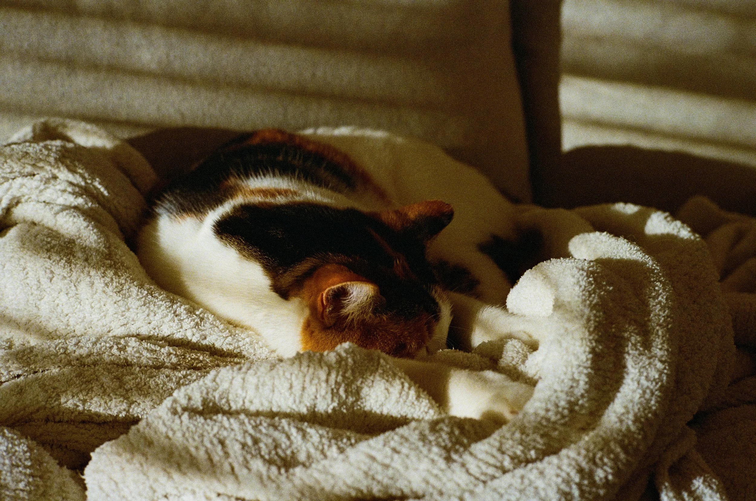 Leica_M4-2_00358.jpg