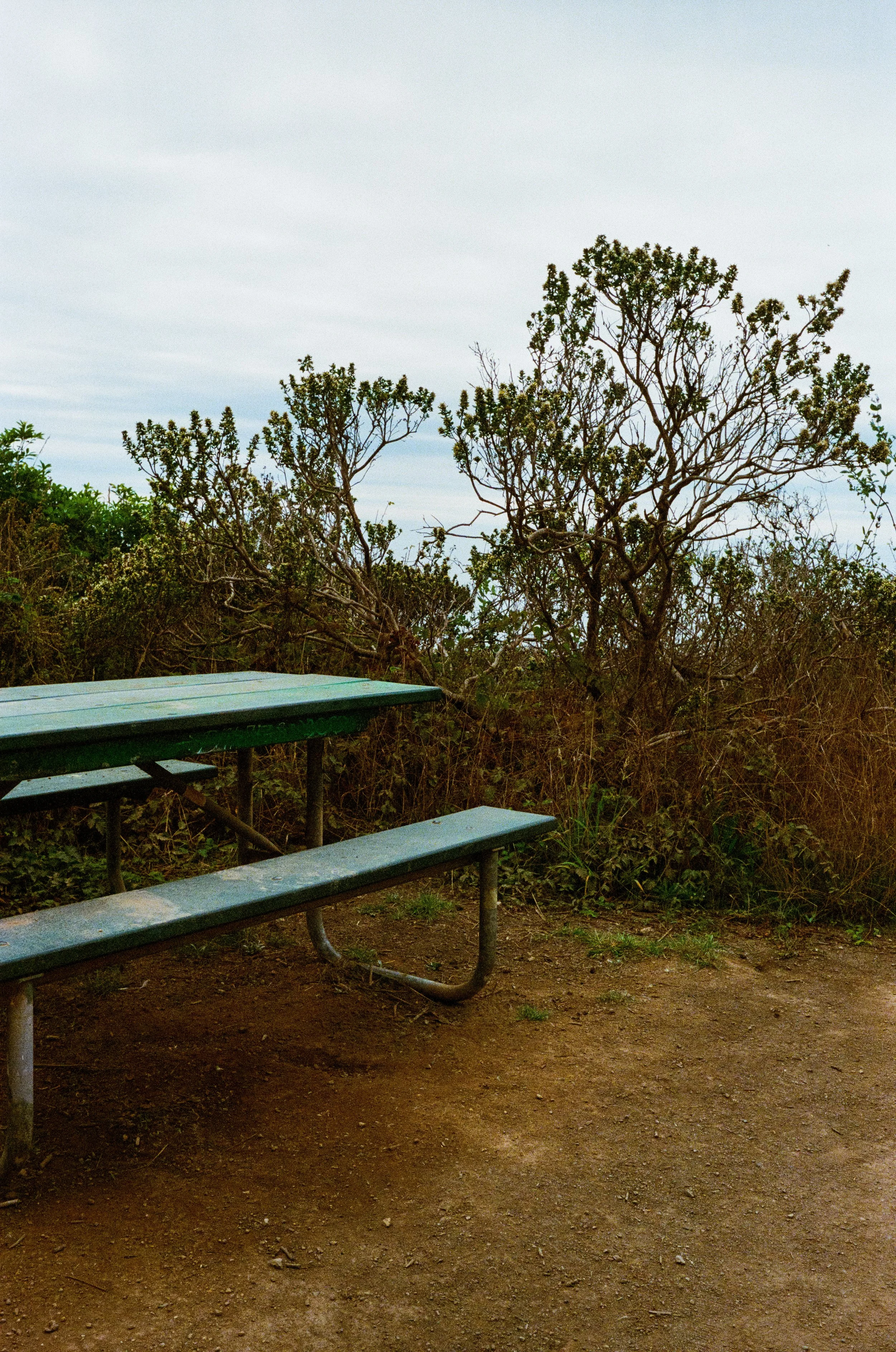 Leica_M4-2_00242.jpg