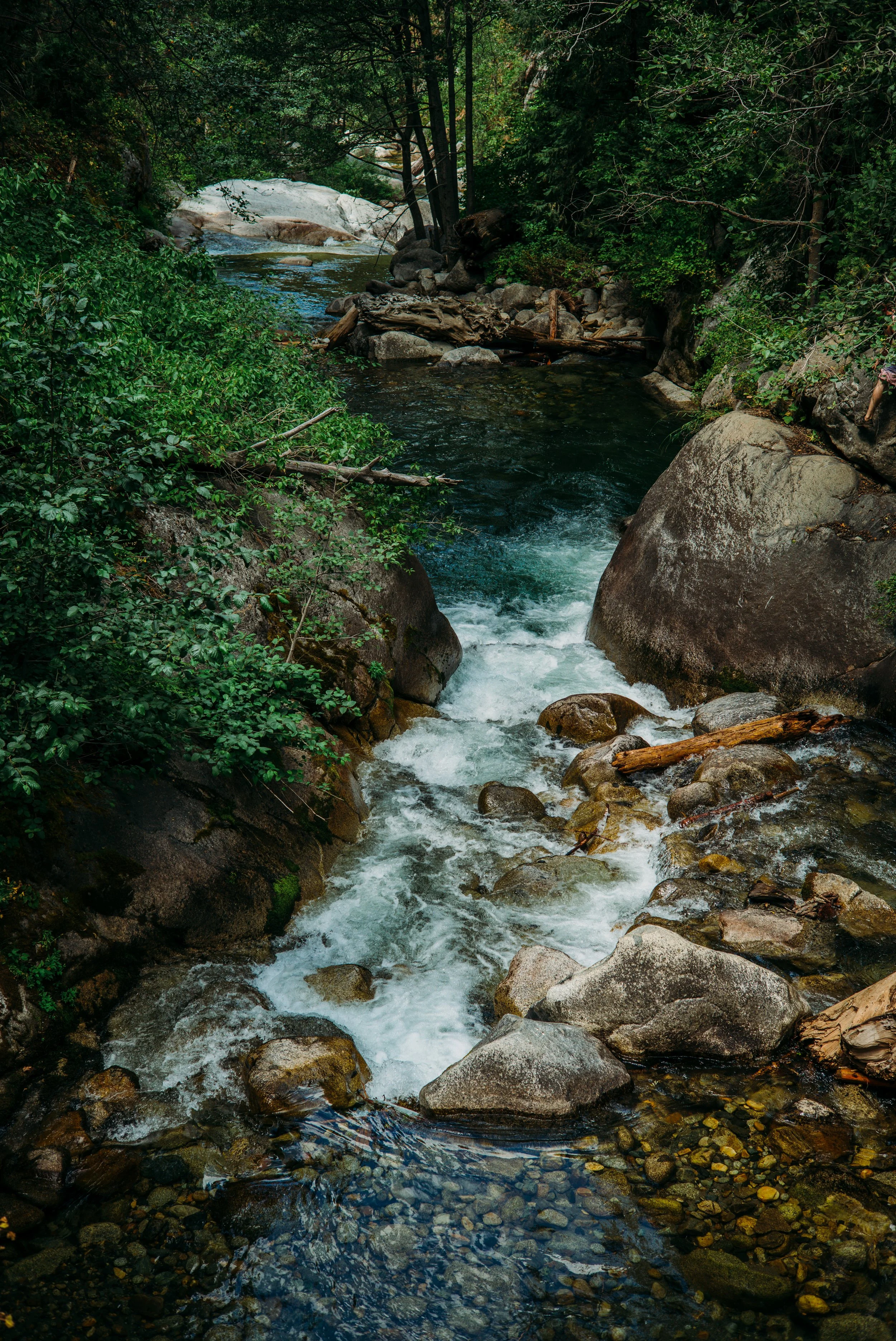L1000754.jpg