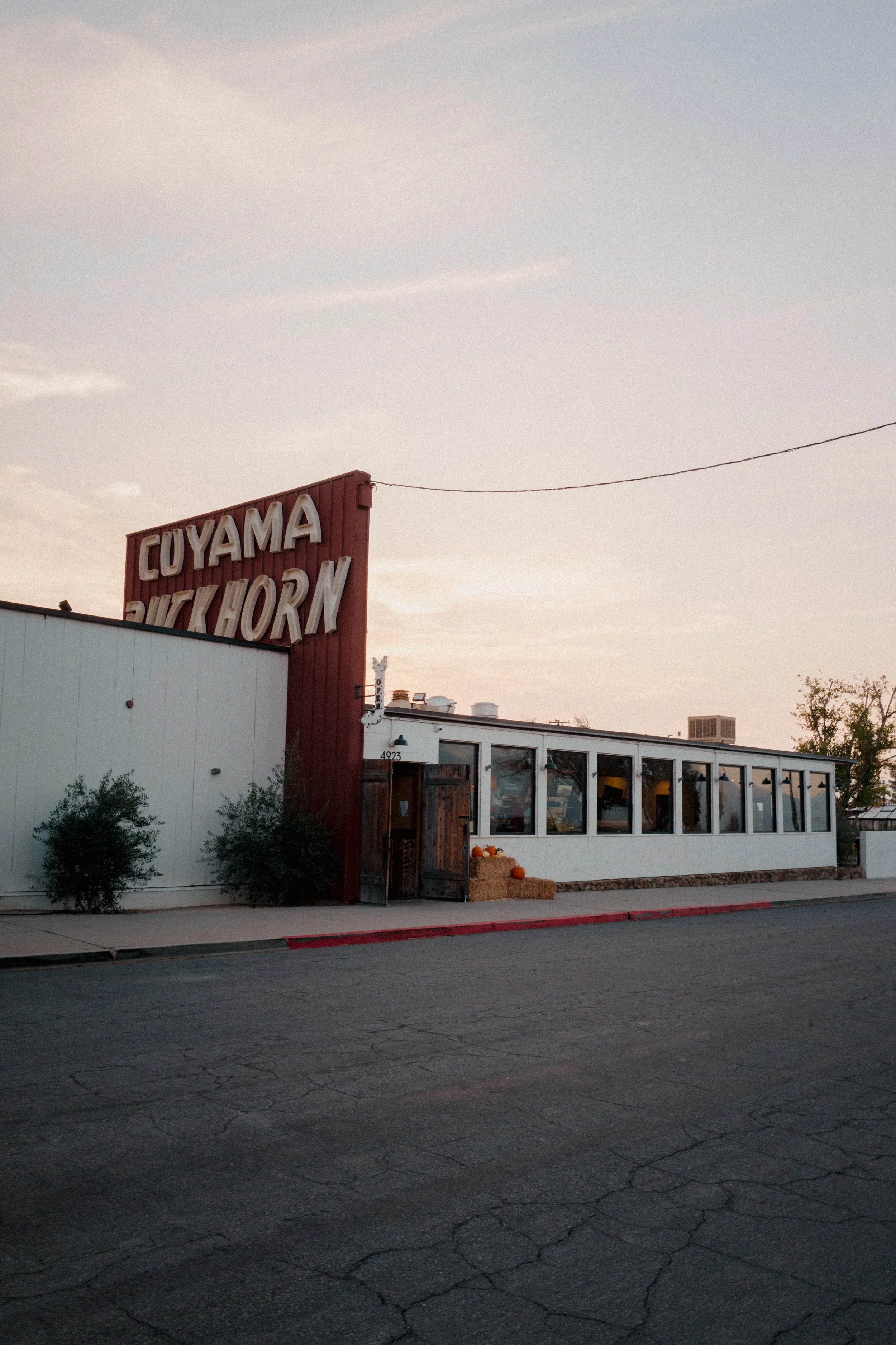 L1190274.jpg