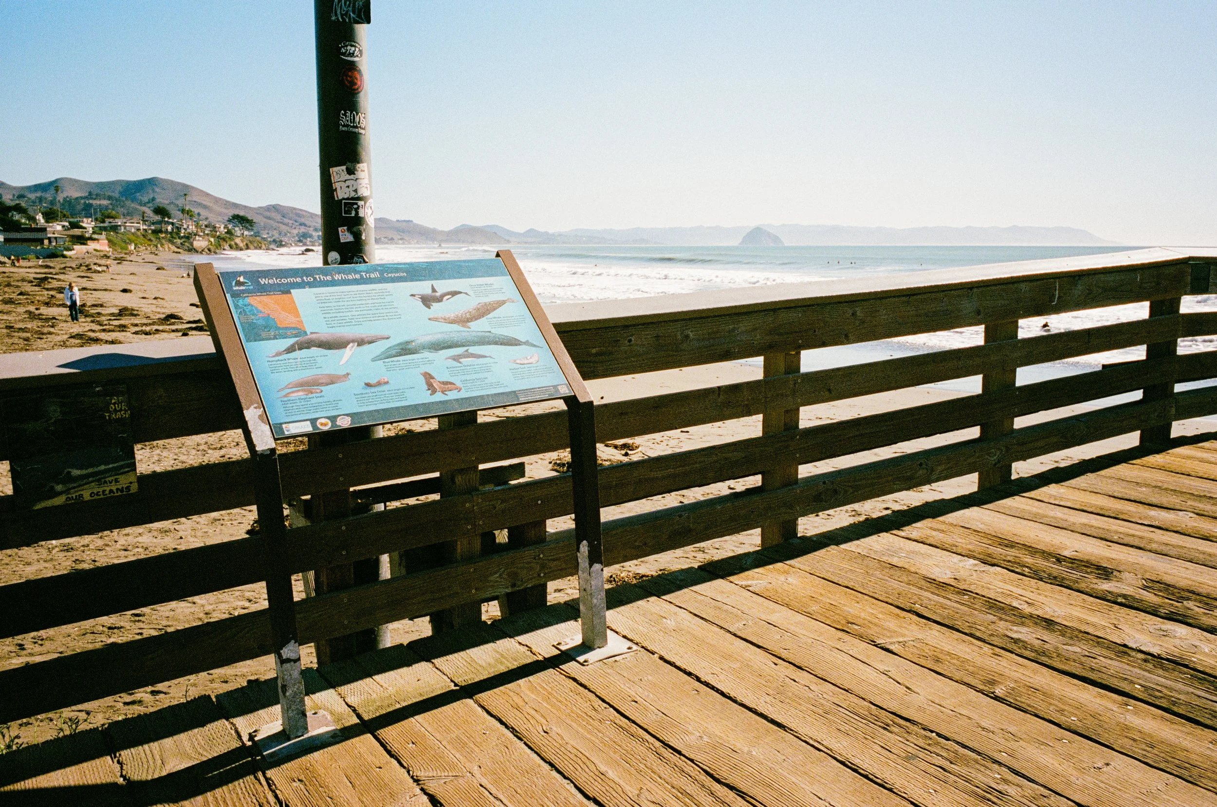 Leica_MP_00115.jpg