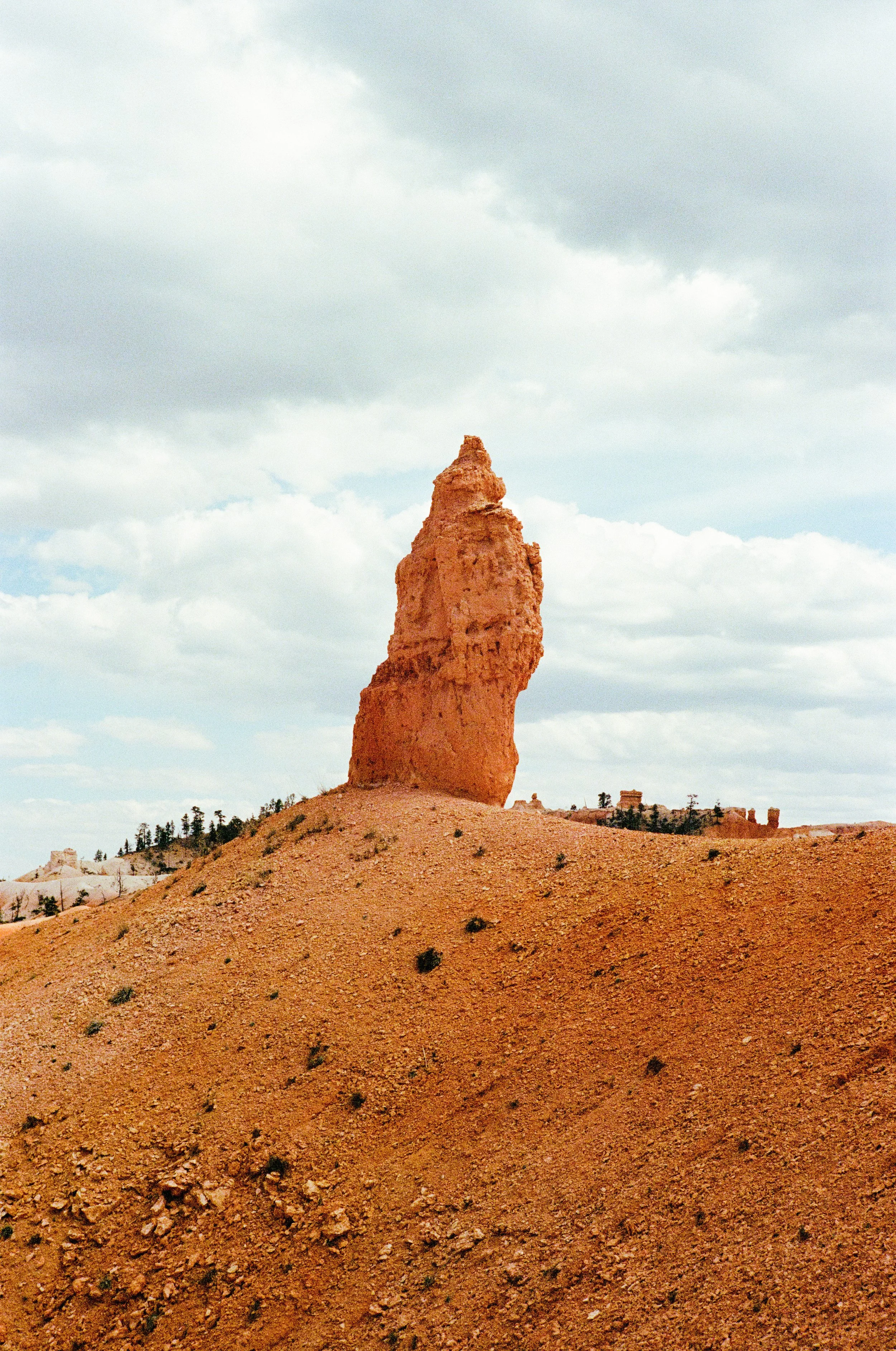 Leica_M4-2_00513.jpg