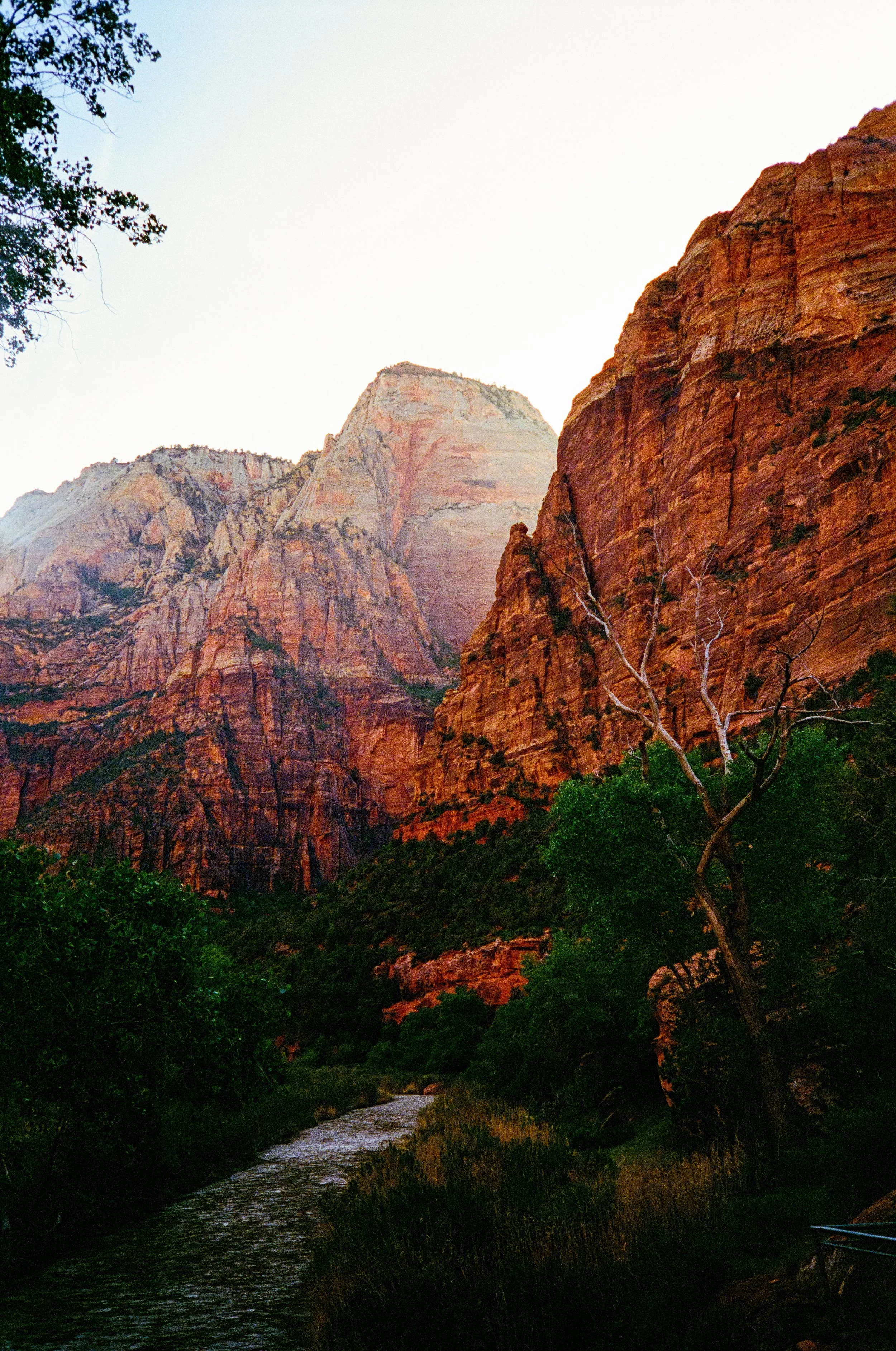 Olympus_Stylus_00409-2.jpg