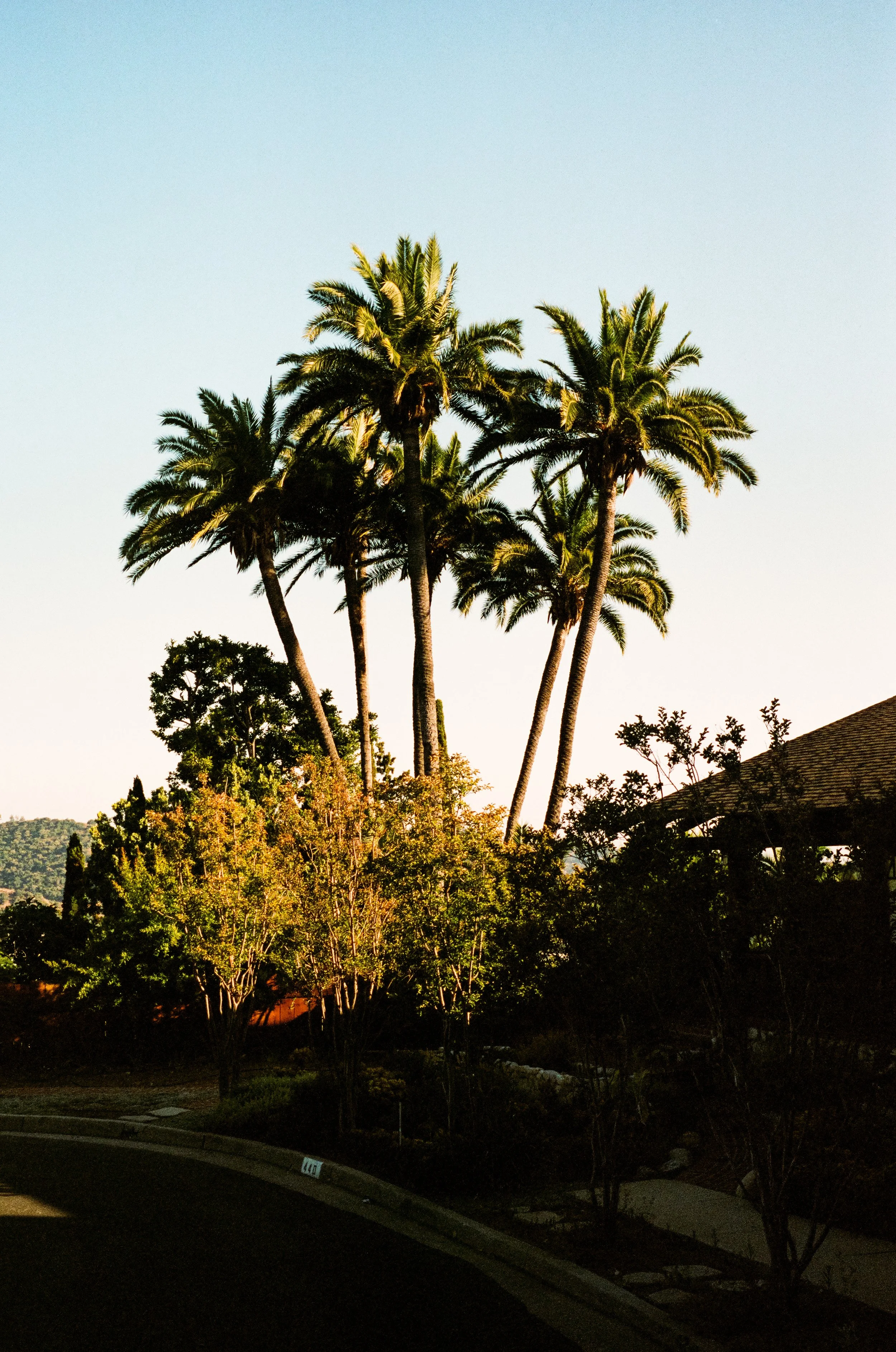 Leica_M4-2_00099.jpg