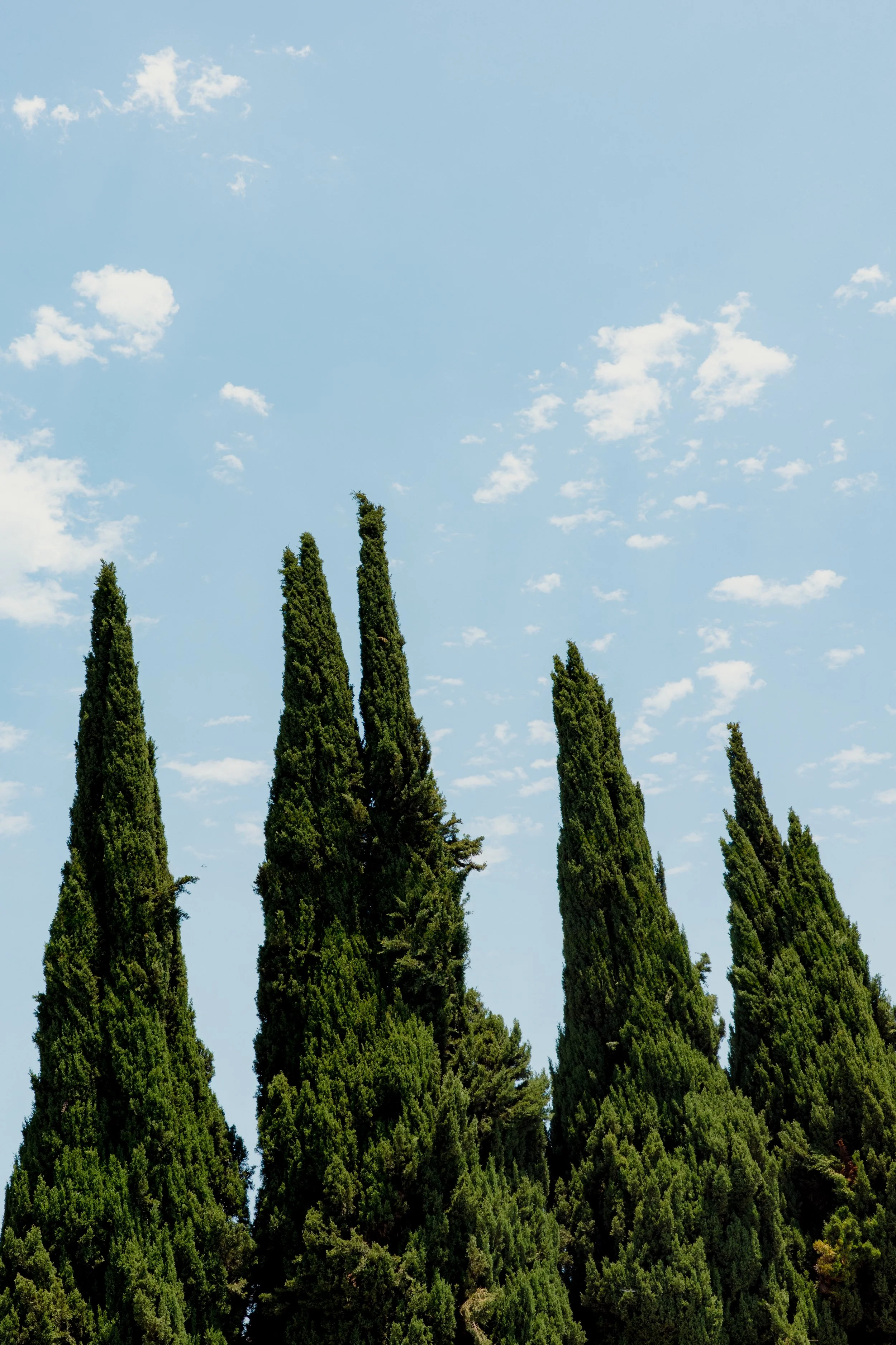 R0000173-Edit.jpg