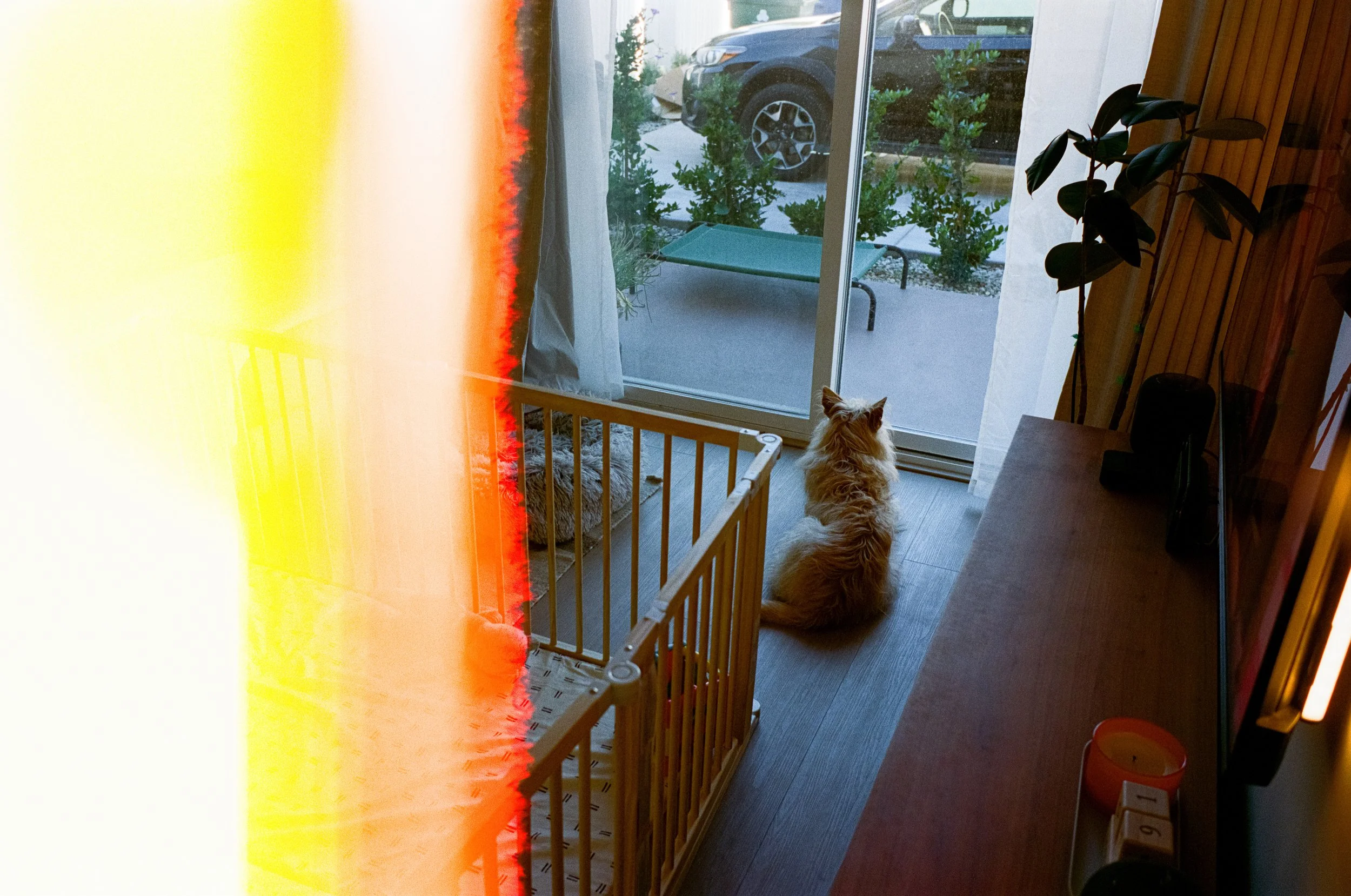Leica_MP_00075.jpg