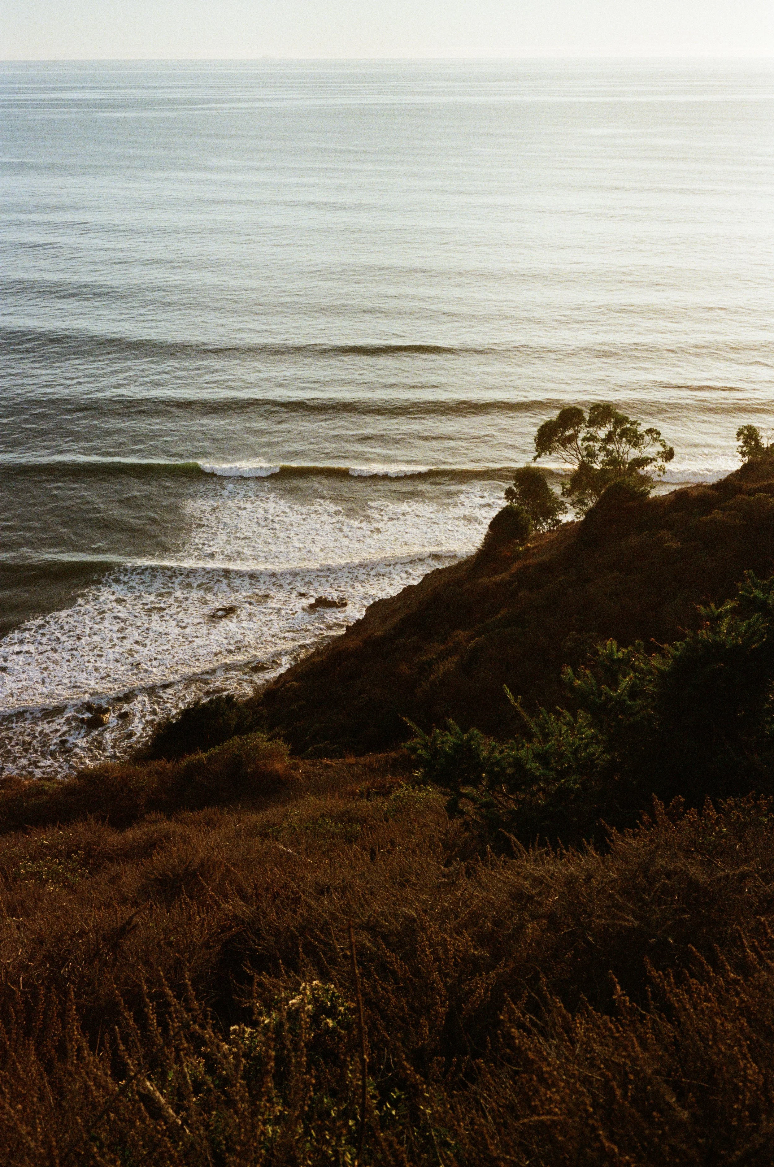 Leica_M4-2_00288.jpg