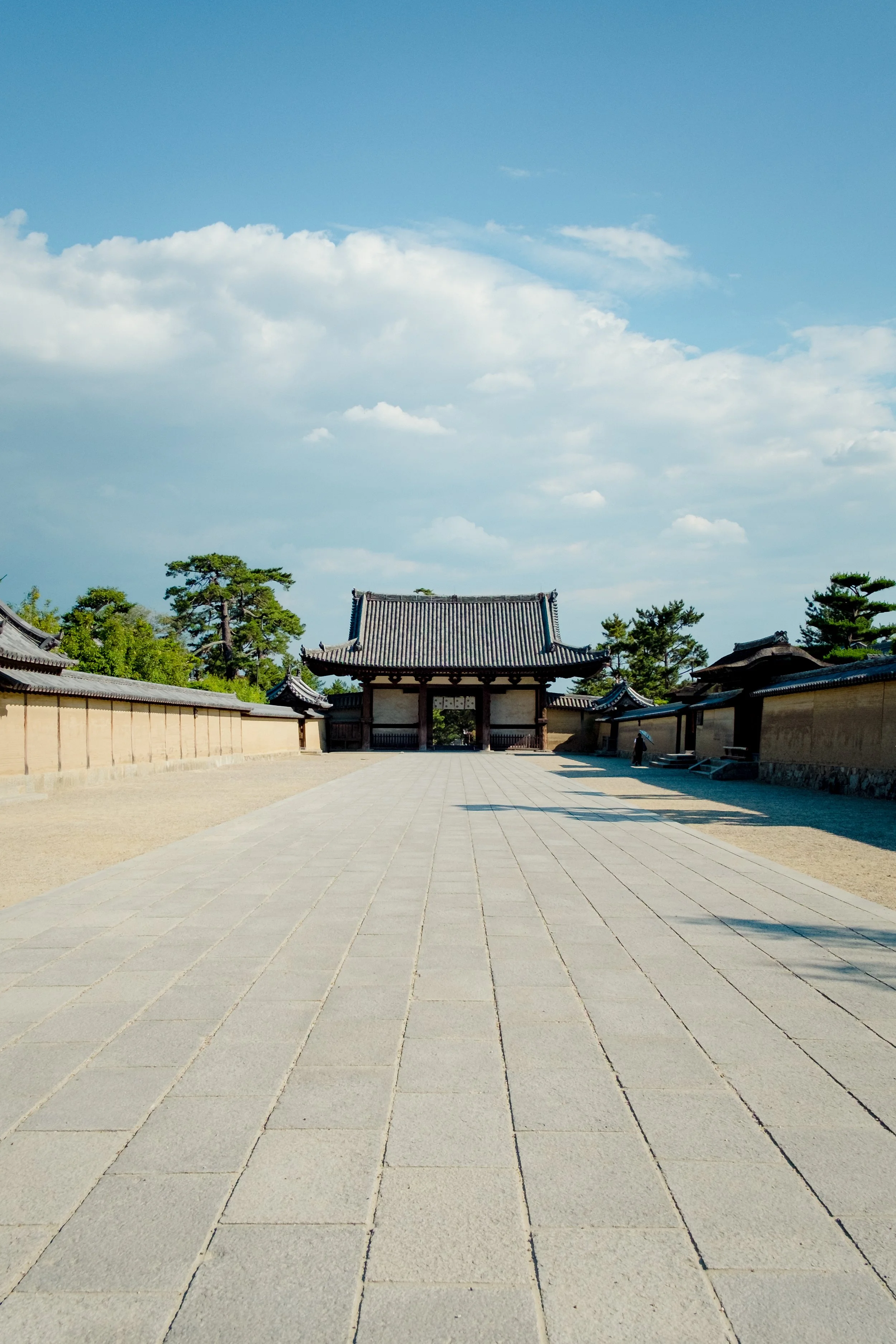 DSCF0975.jpg