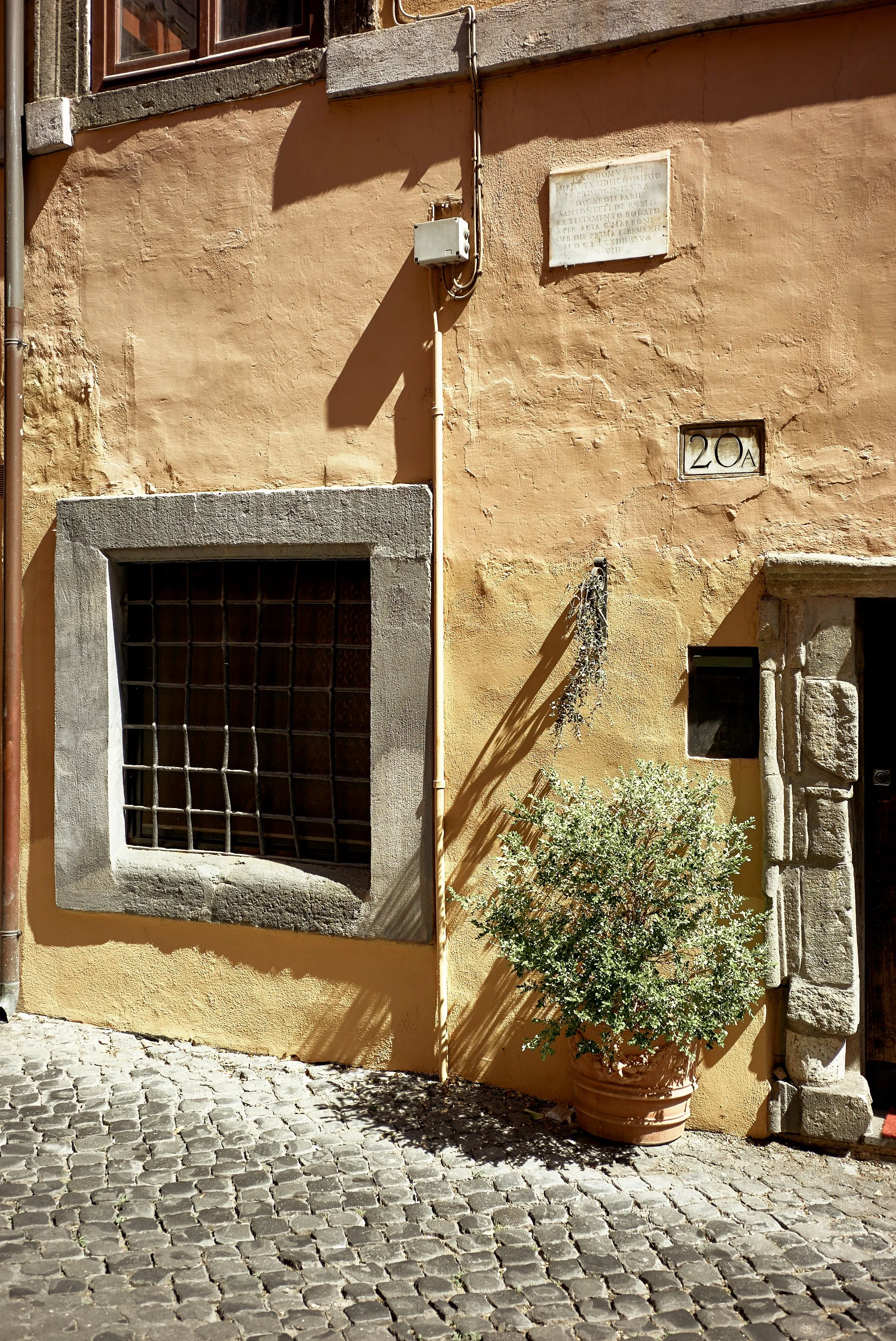 L1003742.jpg