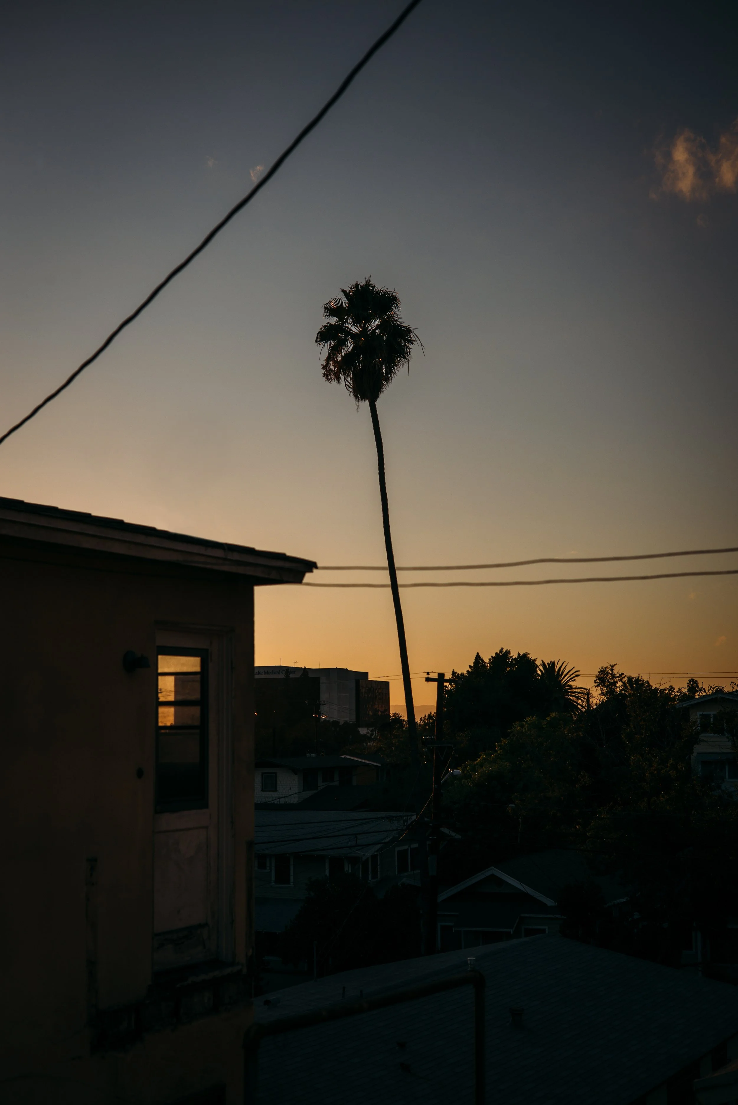 L1000993-Edit.jpg