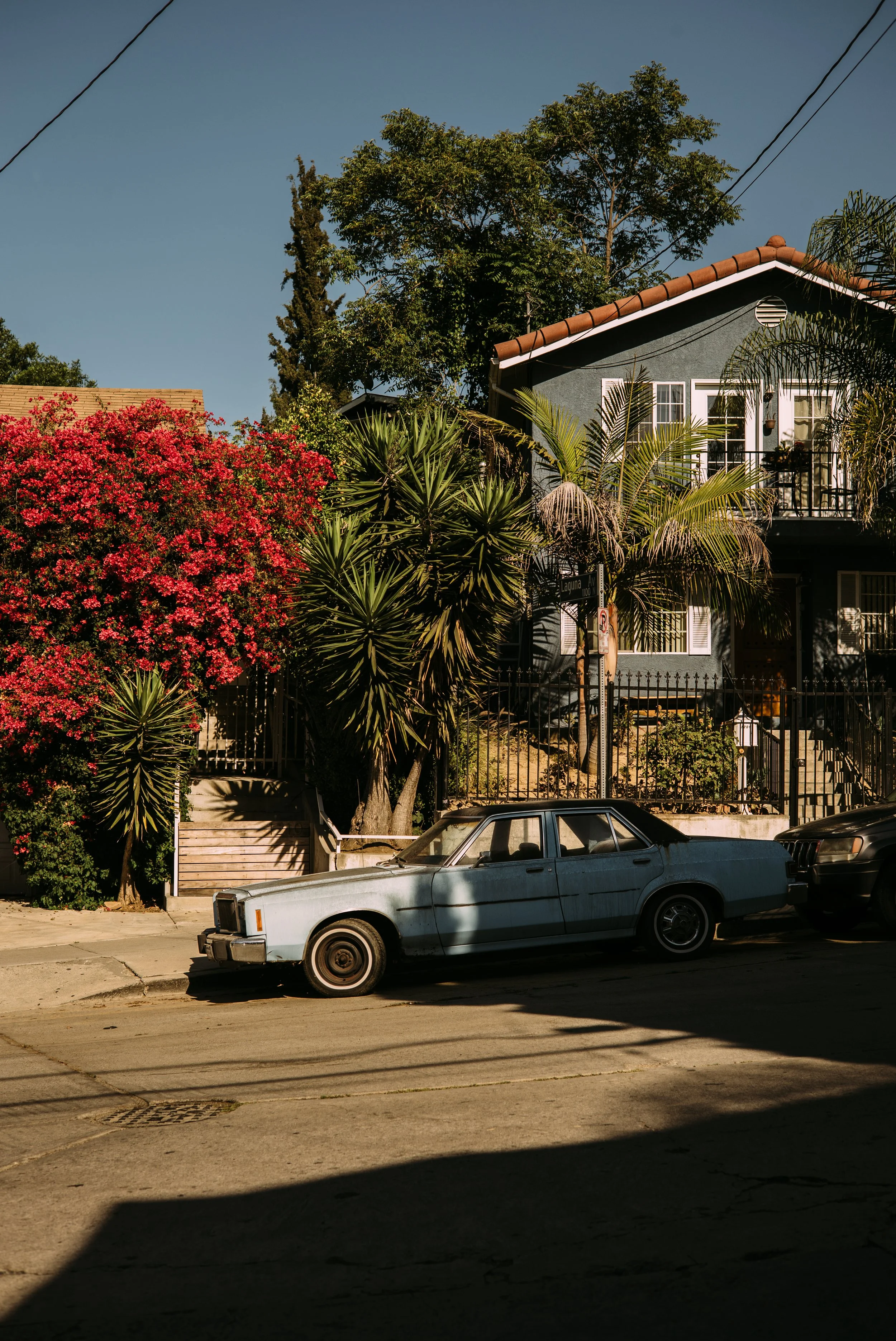 L1000102.jpg