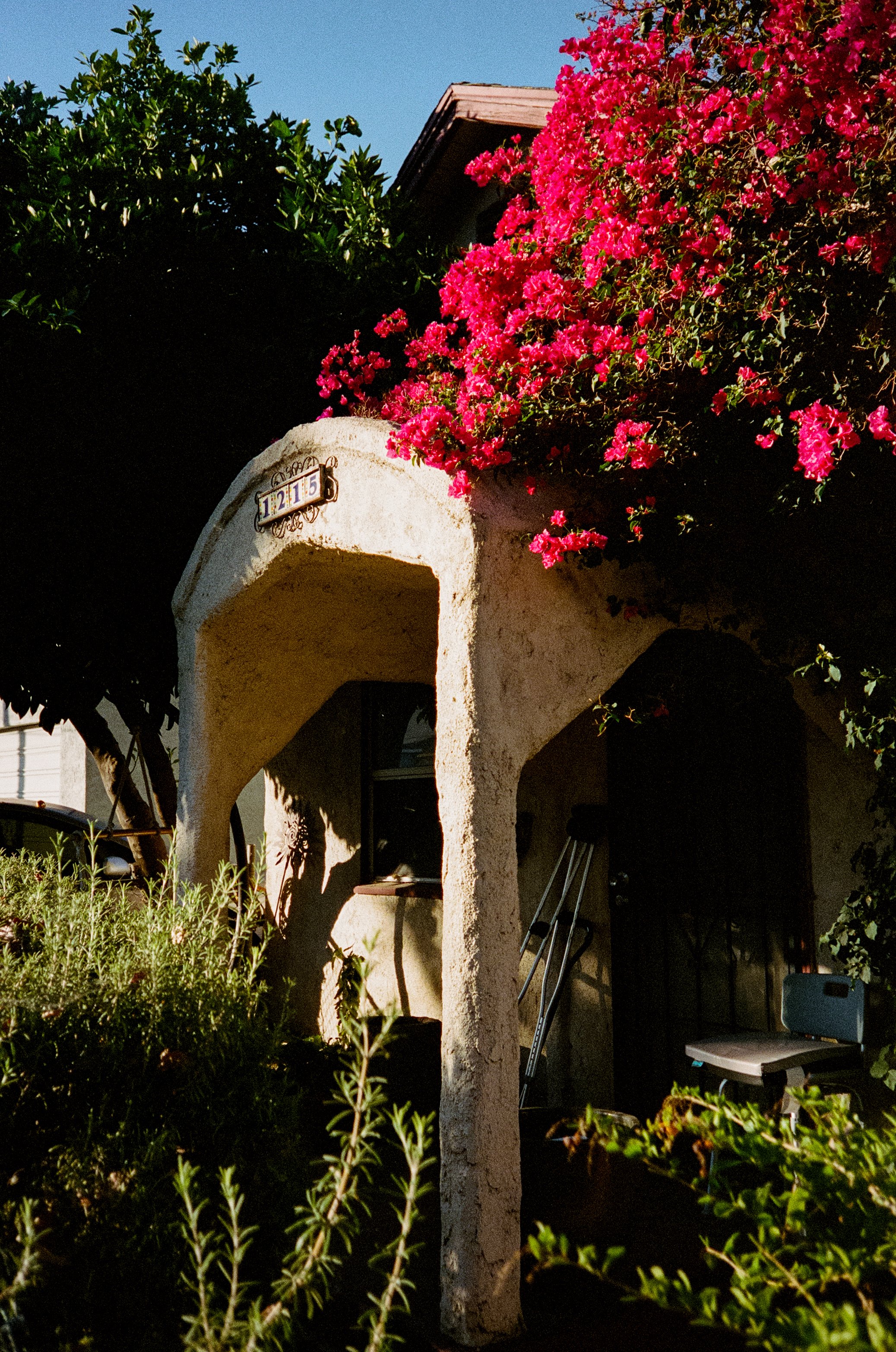 Olympus_Stylus_00441.jpg