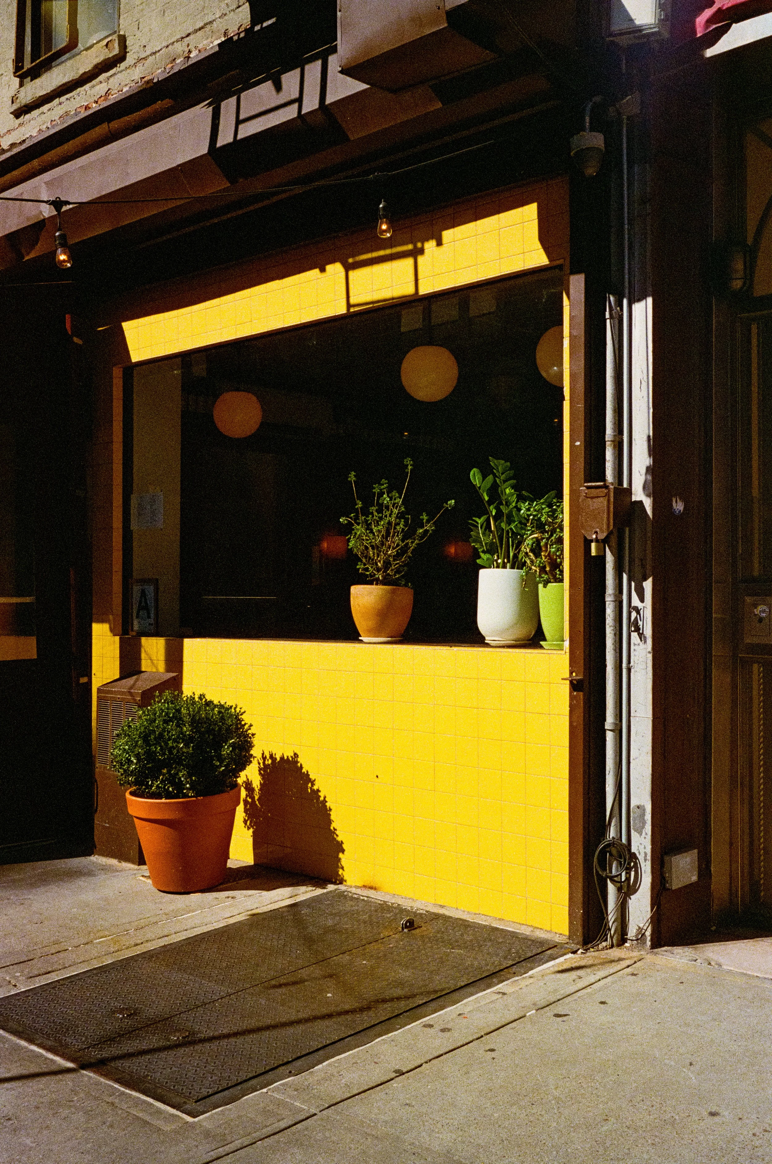 Leica_M4-2_00400.jpg