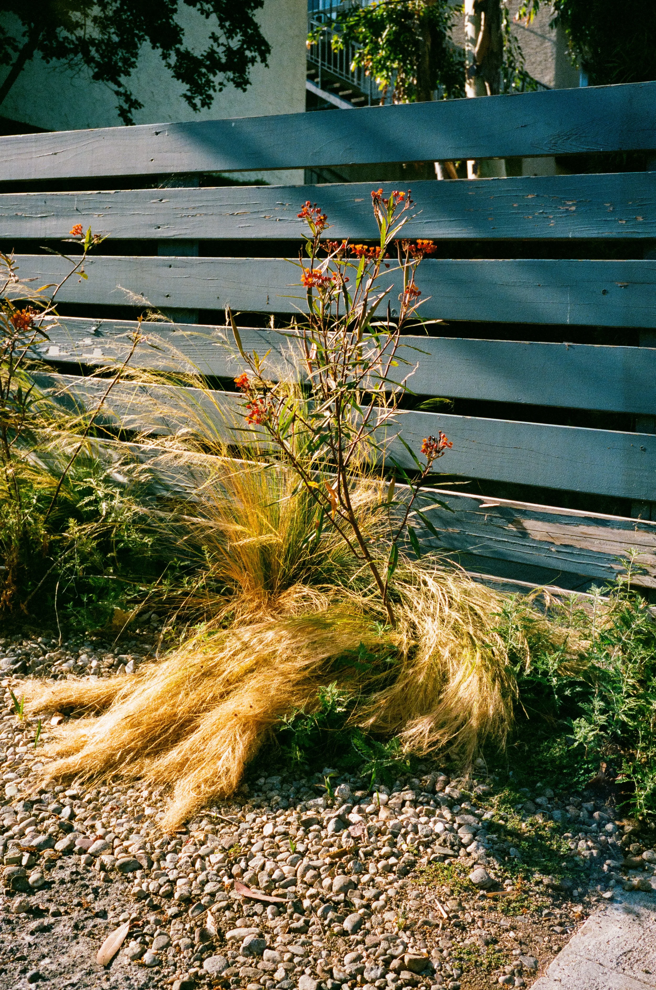 Leica_M4-2_00073.jpg