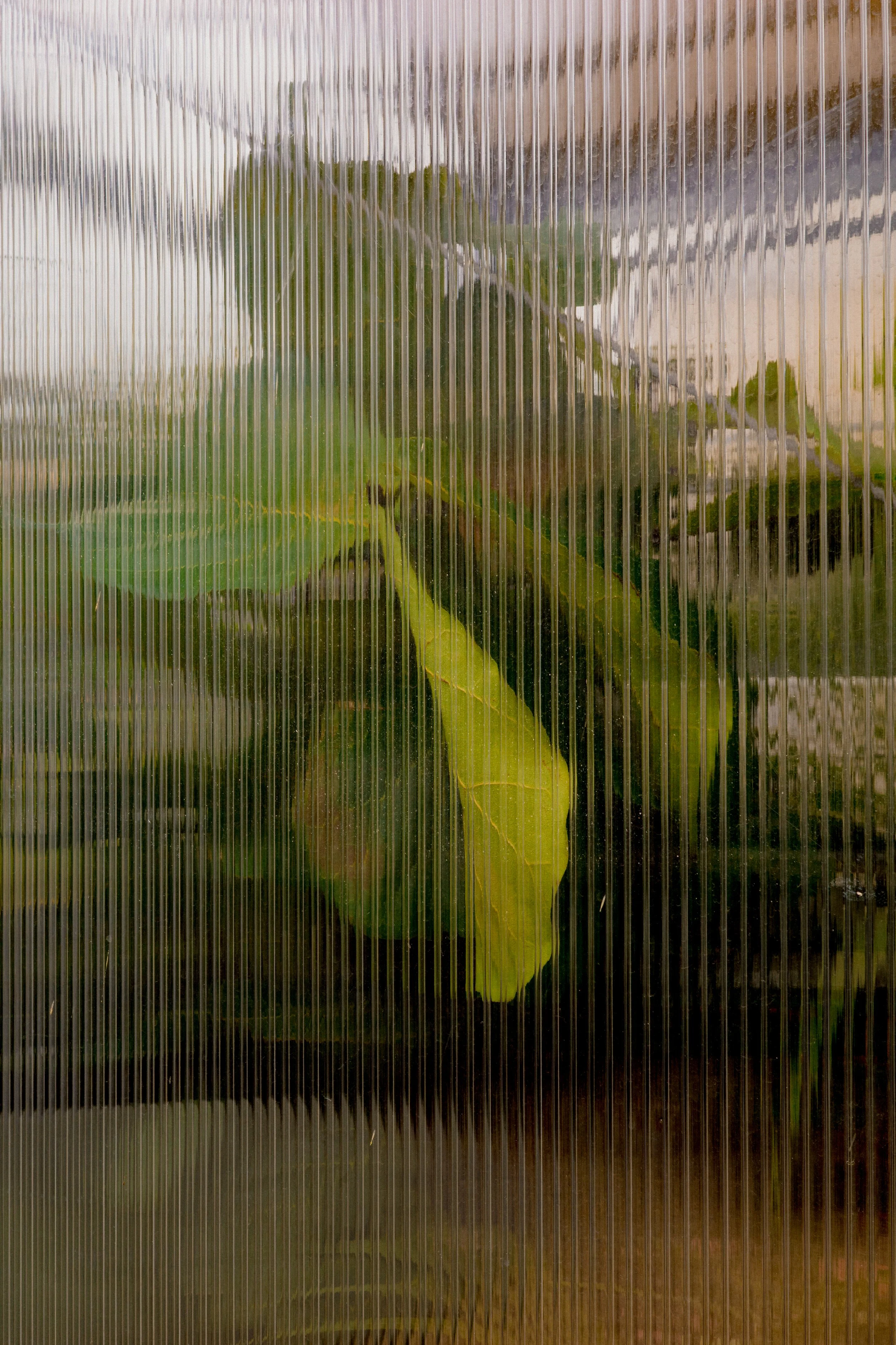 R0000213.jpg