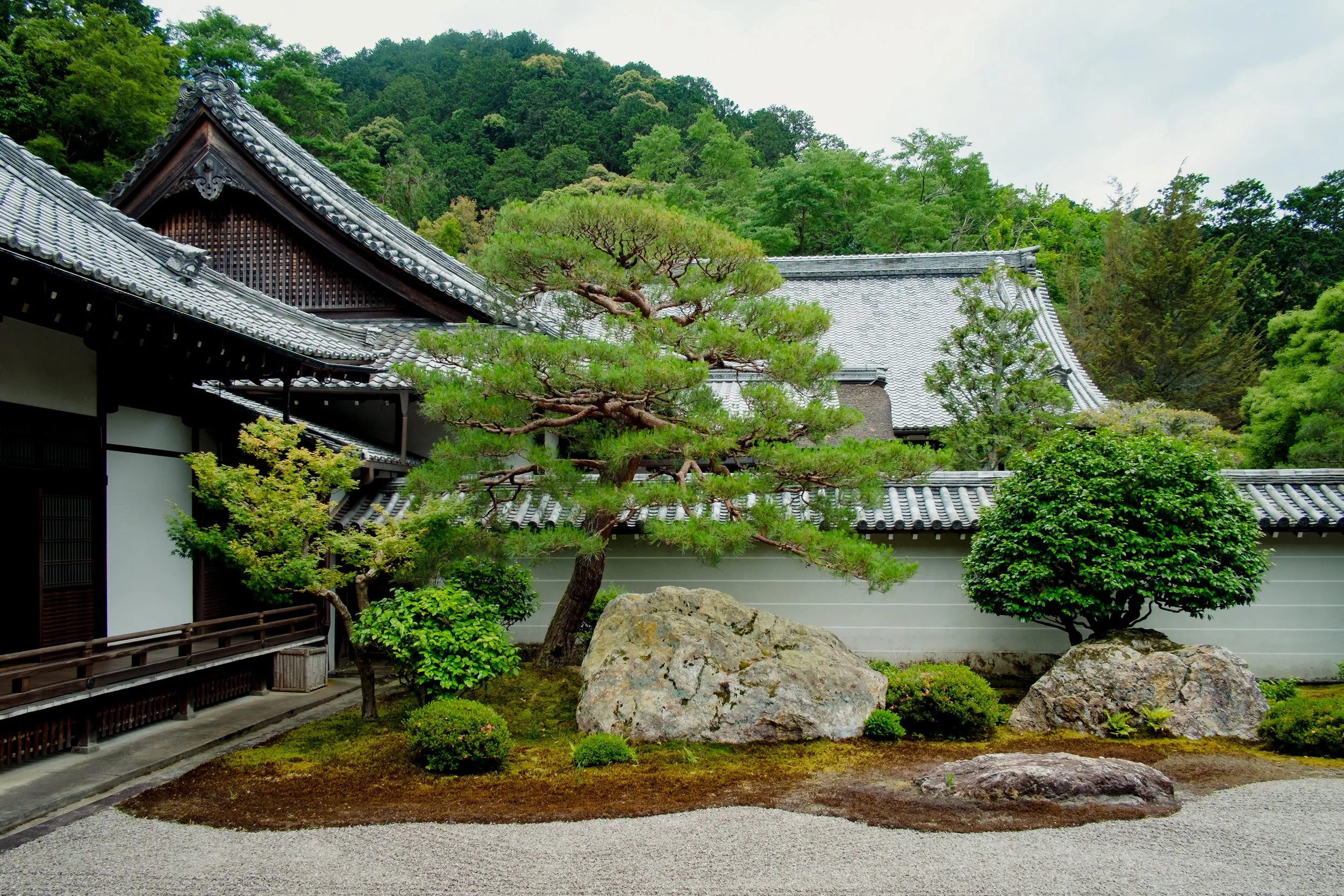DSCF0779.jpg