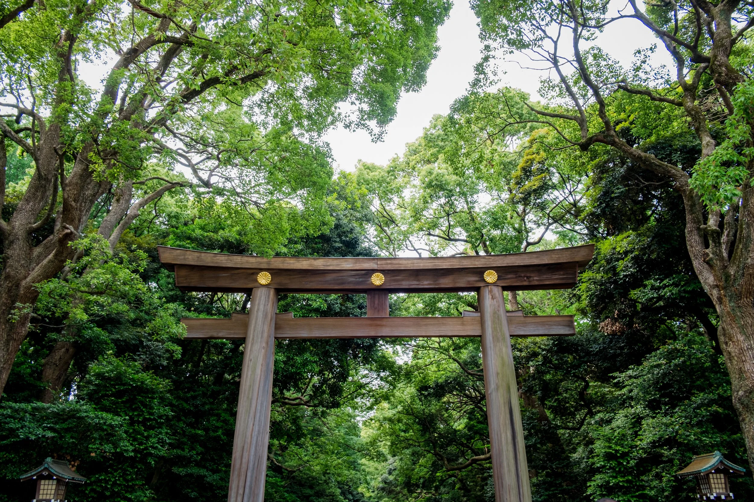 DSCF0548.jpg